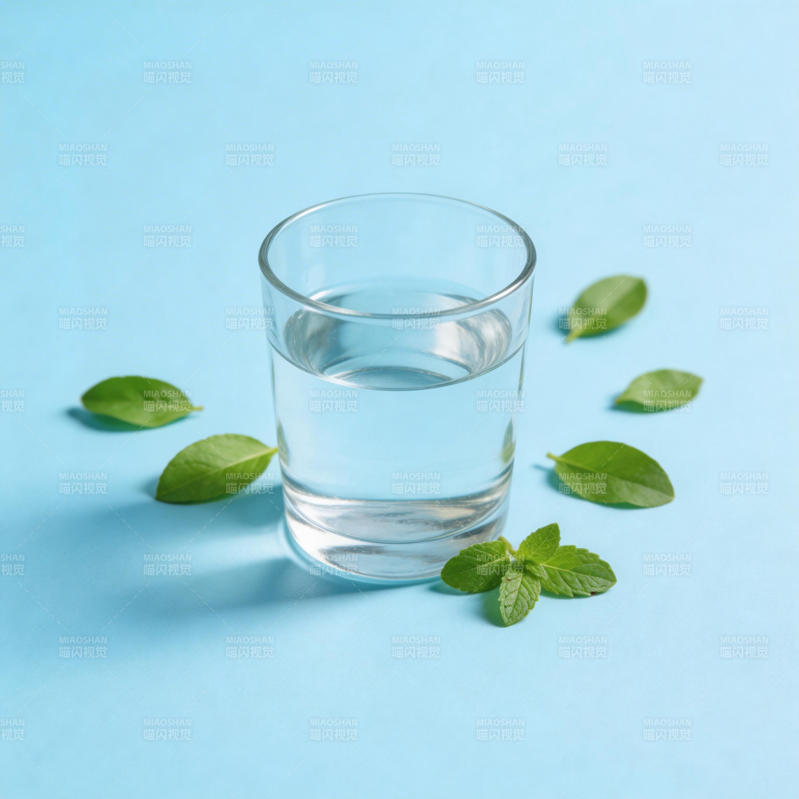 清泉与薄荷叶图片