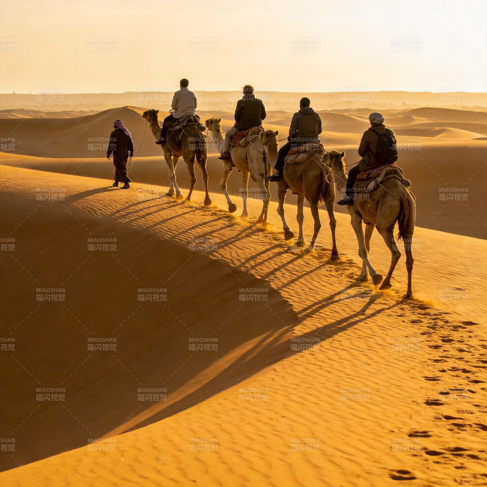 沙漠驼队行图片