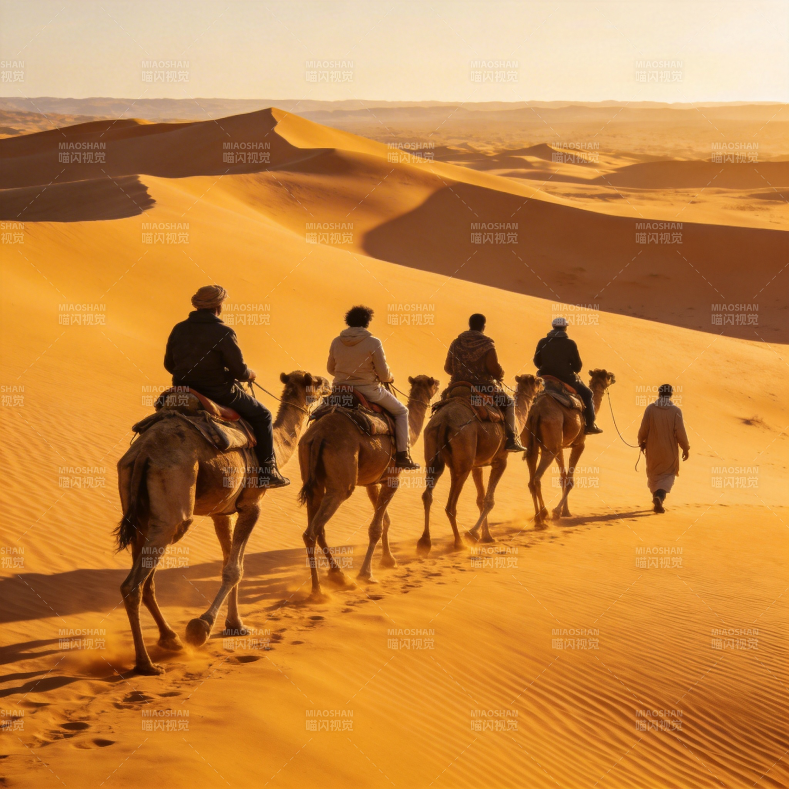 沙漠驼队行旅图片
