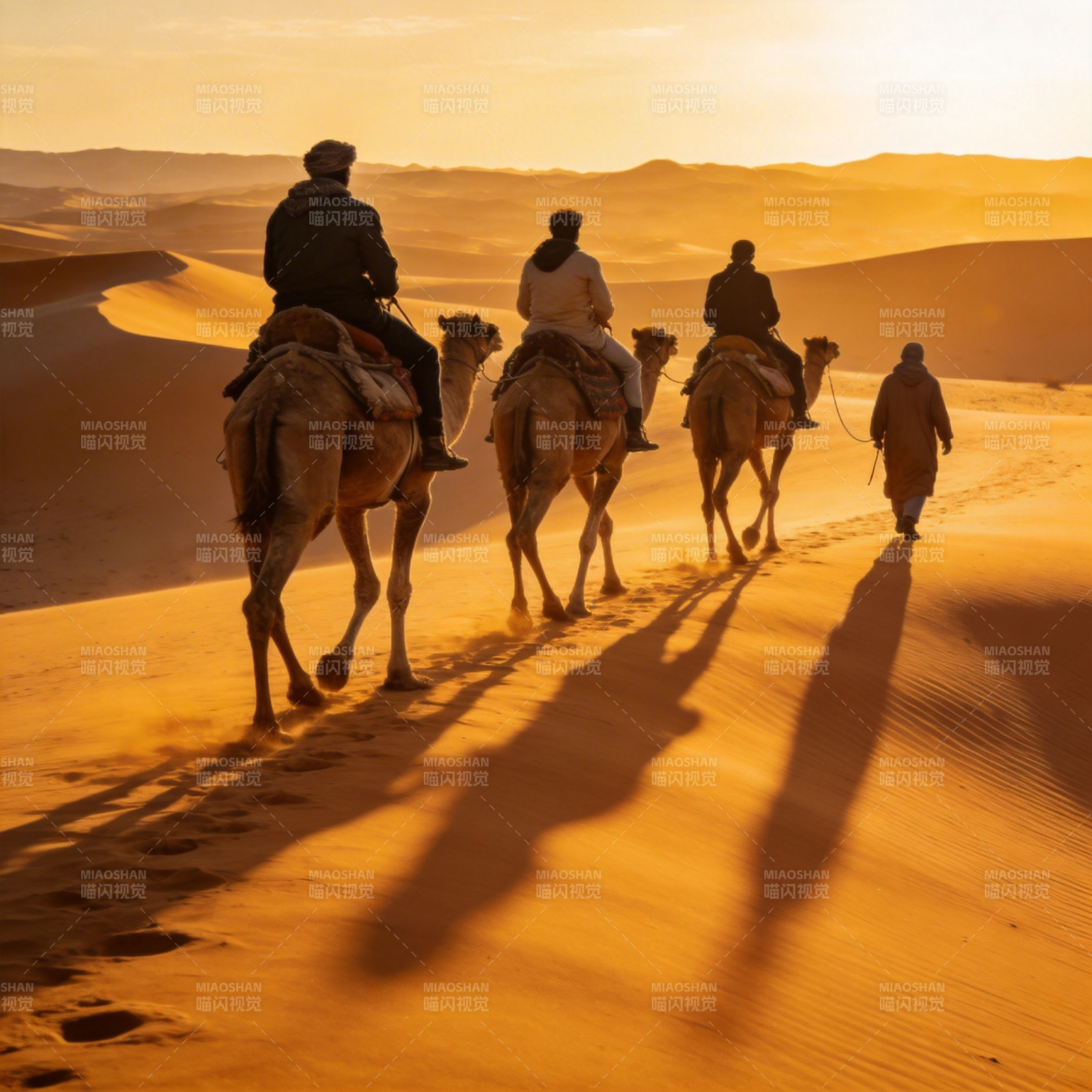 沙漠驼铃行图片