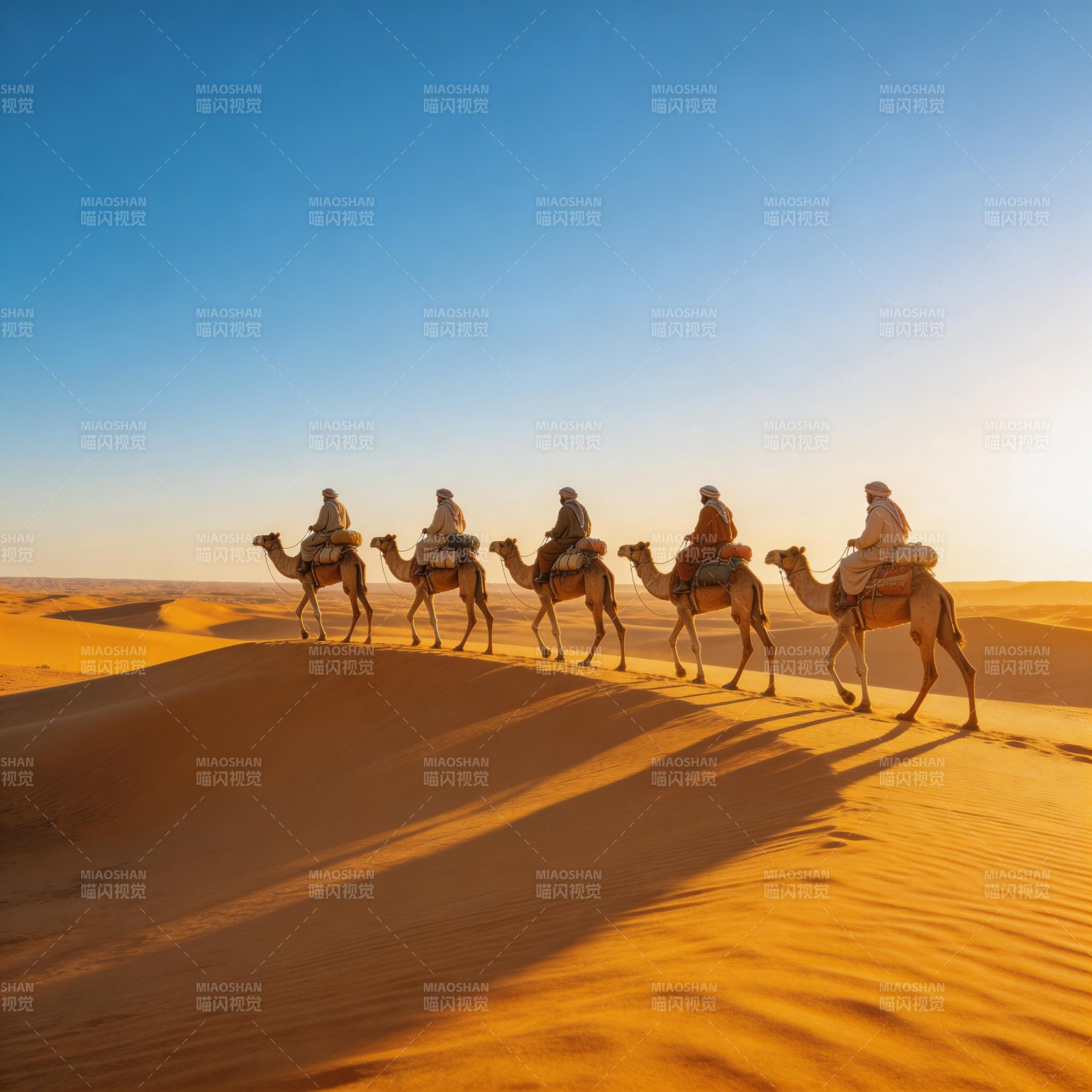 沙漠驼队行图片