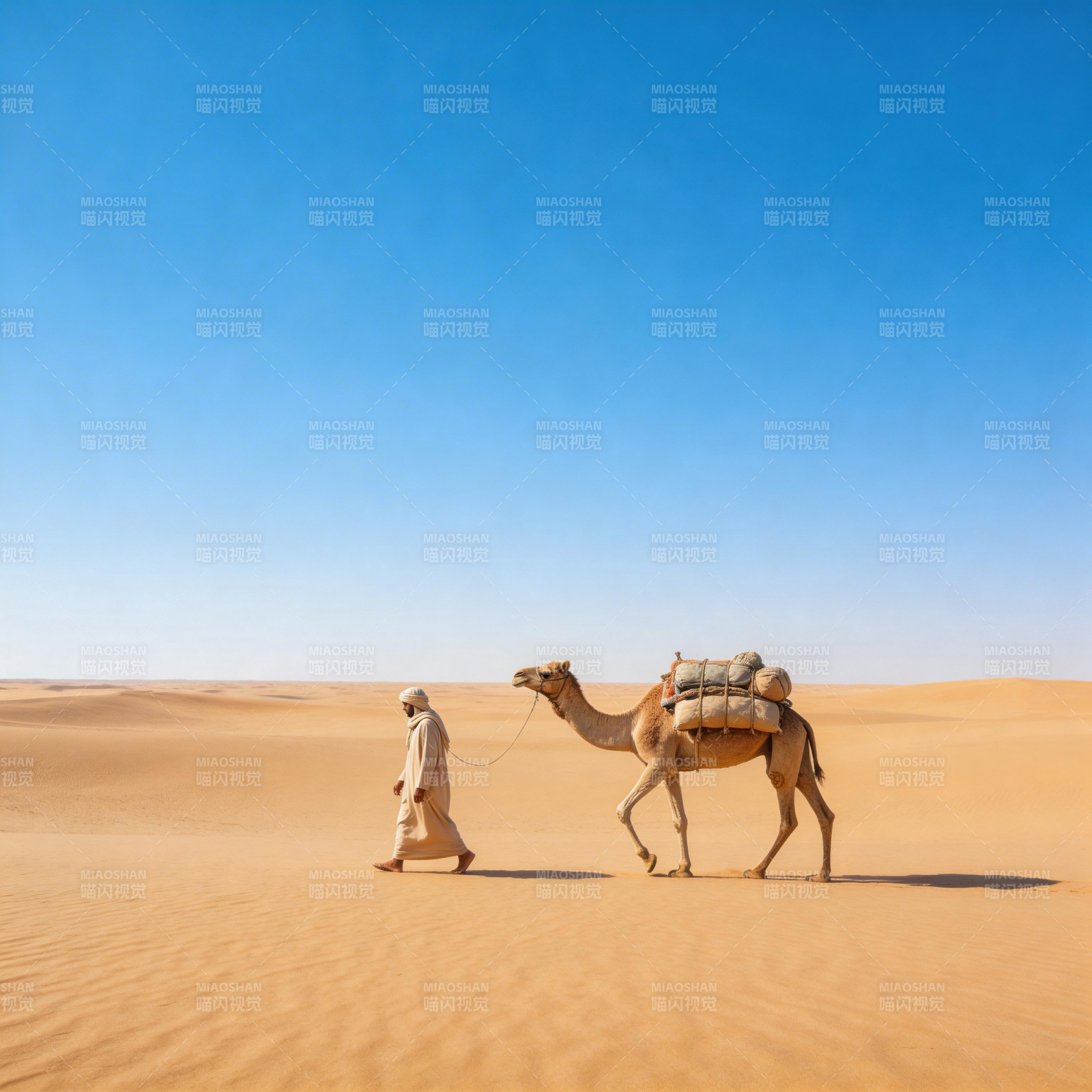 沙漠行旅图片