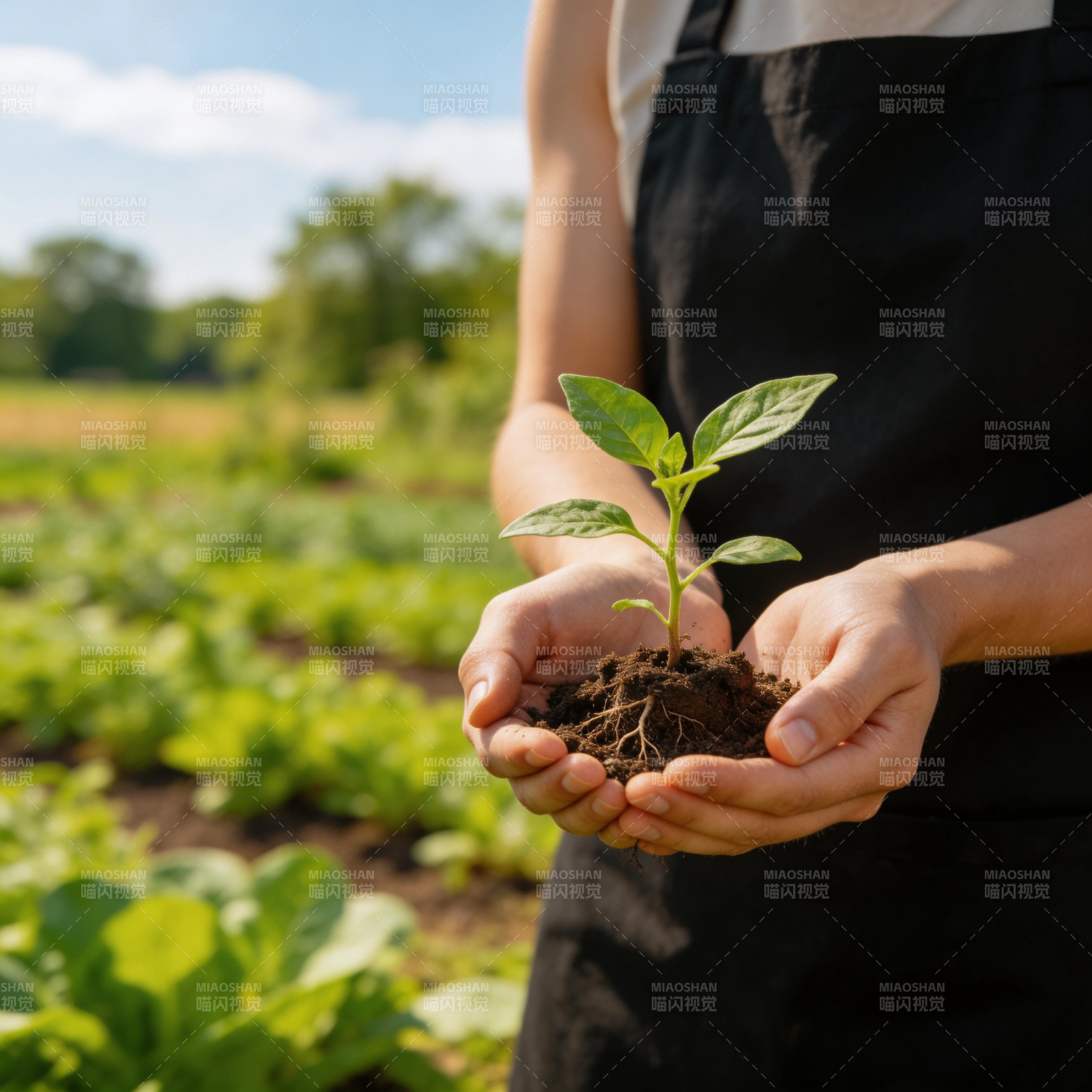 手捧嫩苗 心系田园图片