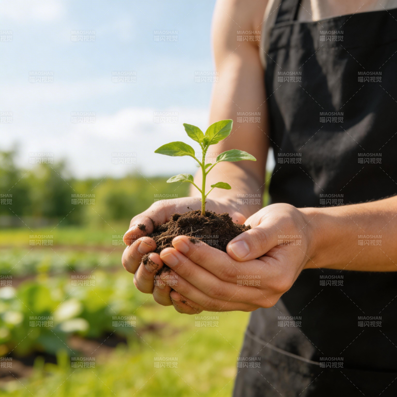 手捧新绿 心系自然图片