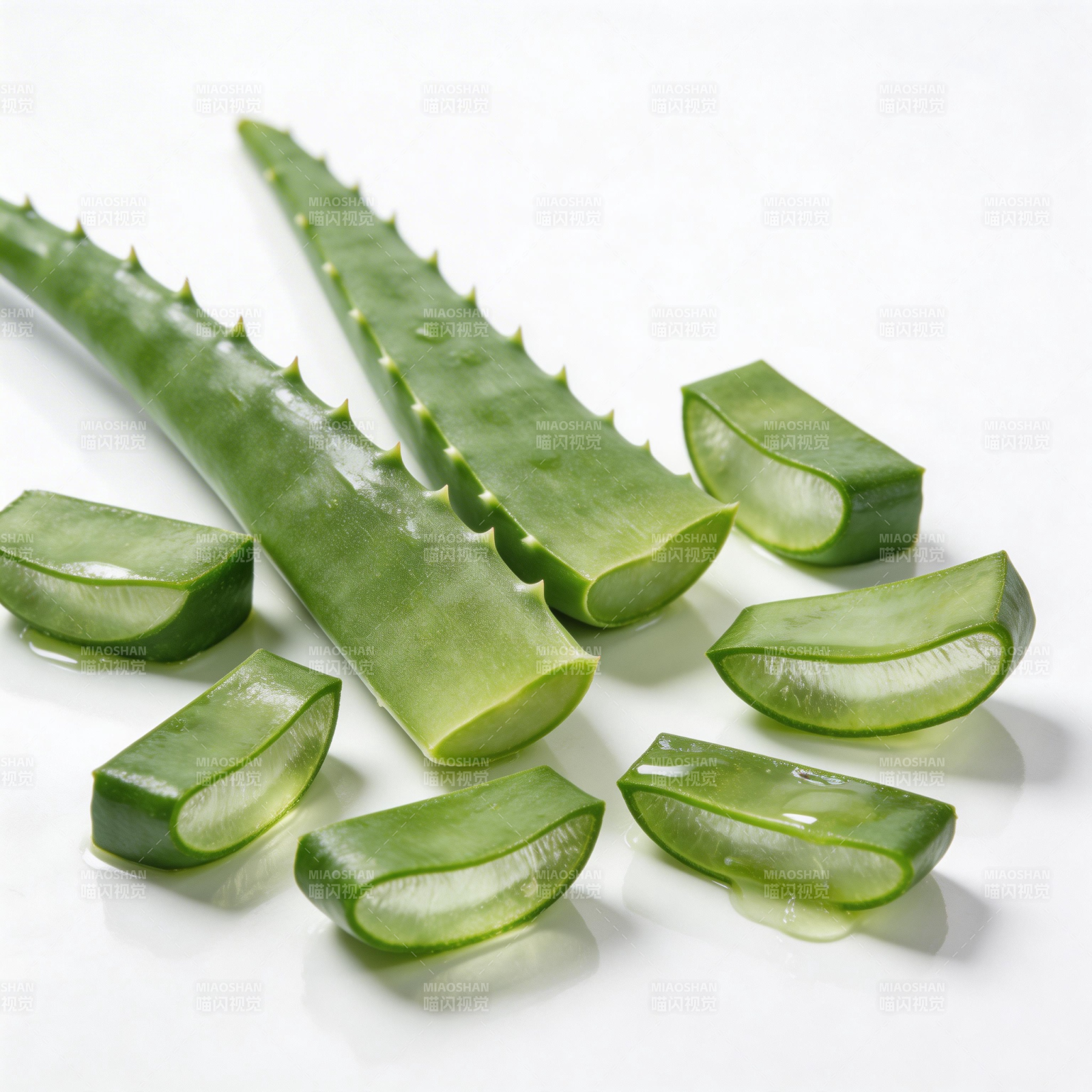 芦荟切片新鲜展示图片