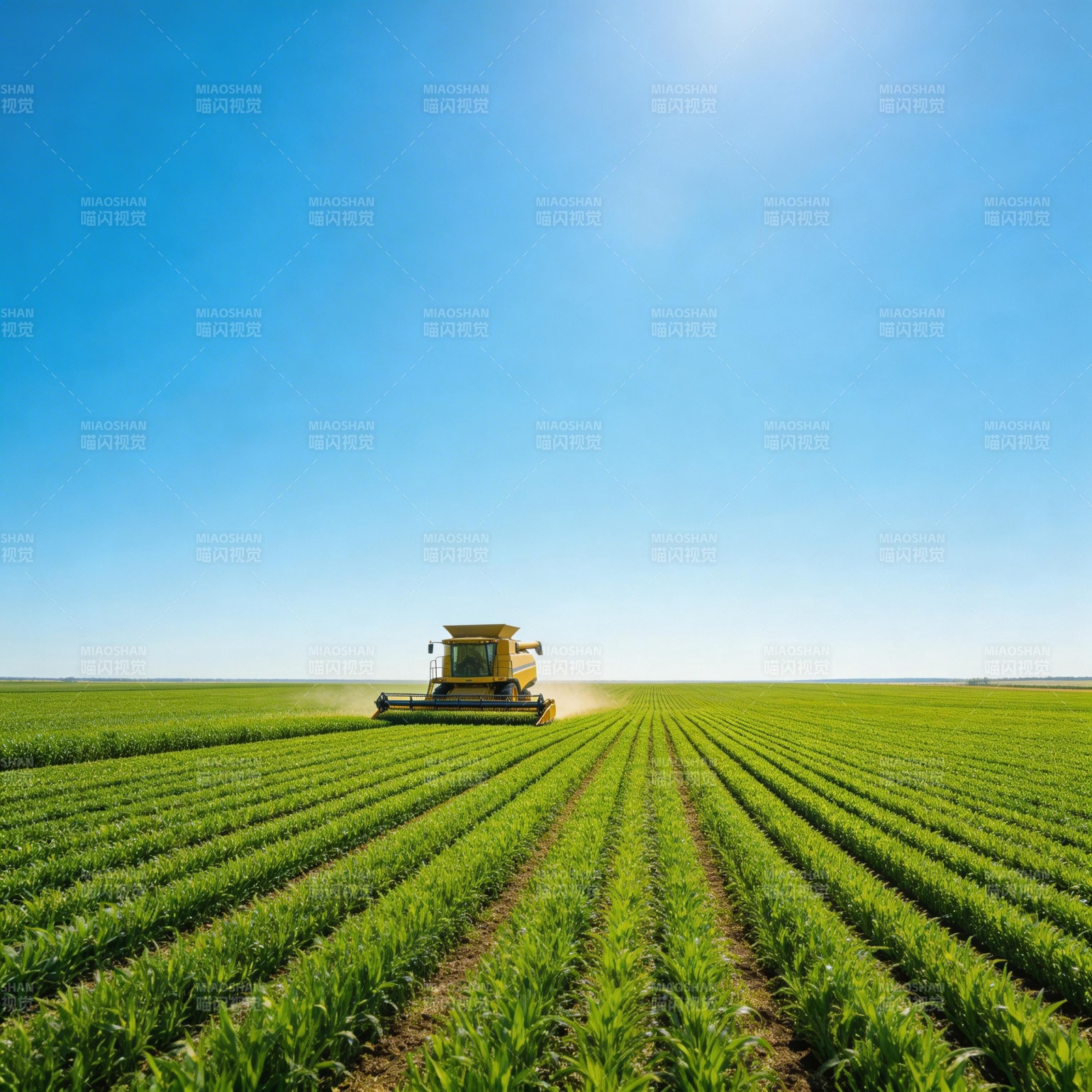 麦田收割机作业图片