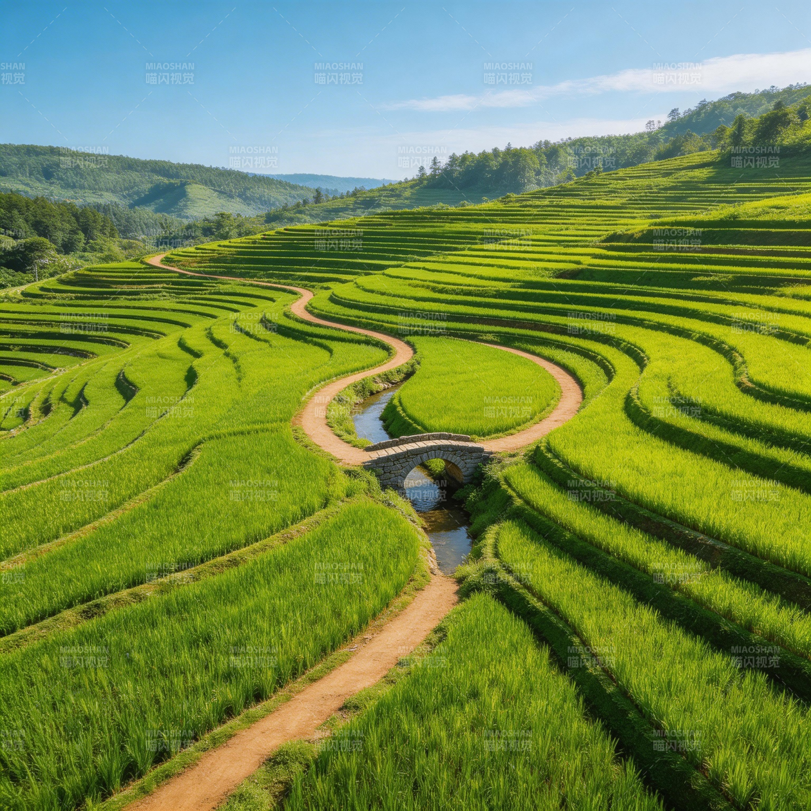 梯田绿浪绕山行图片