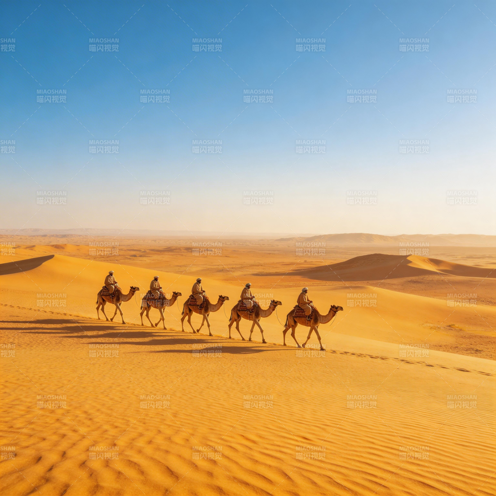 沙漠驼队行图片
