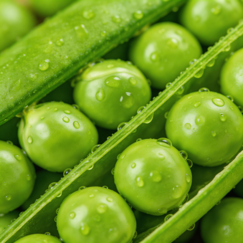 鲜嫩青豆特写图片