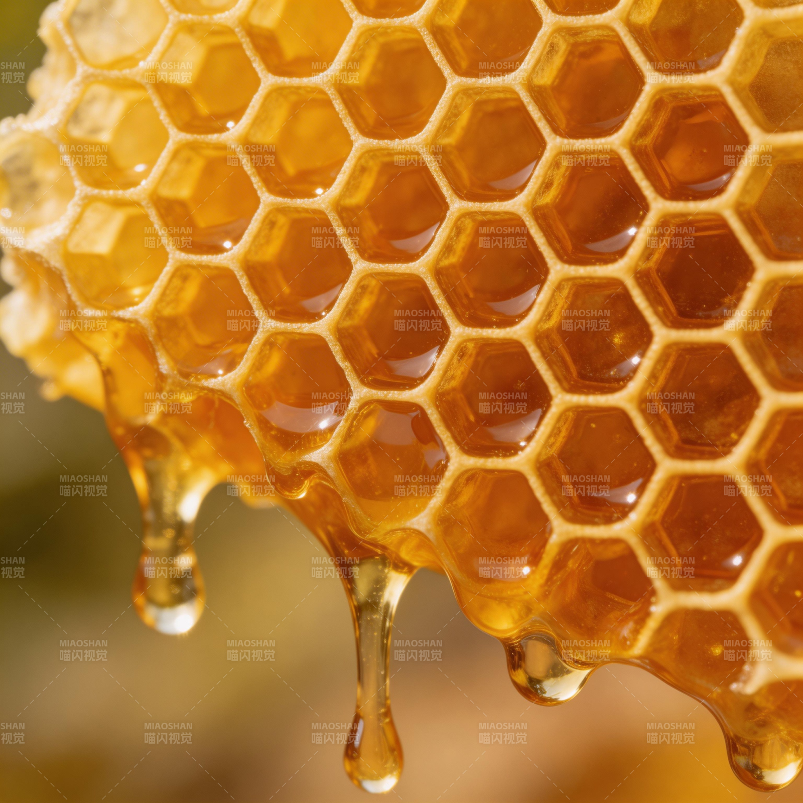 蜜滴蜂巢图片