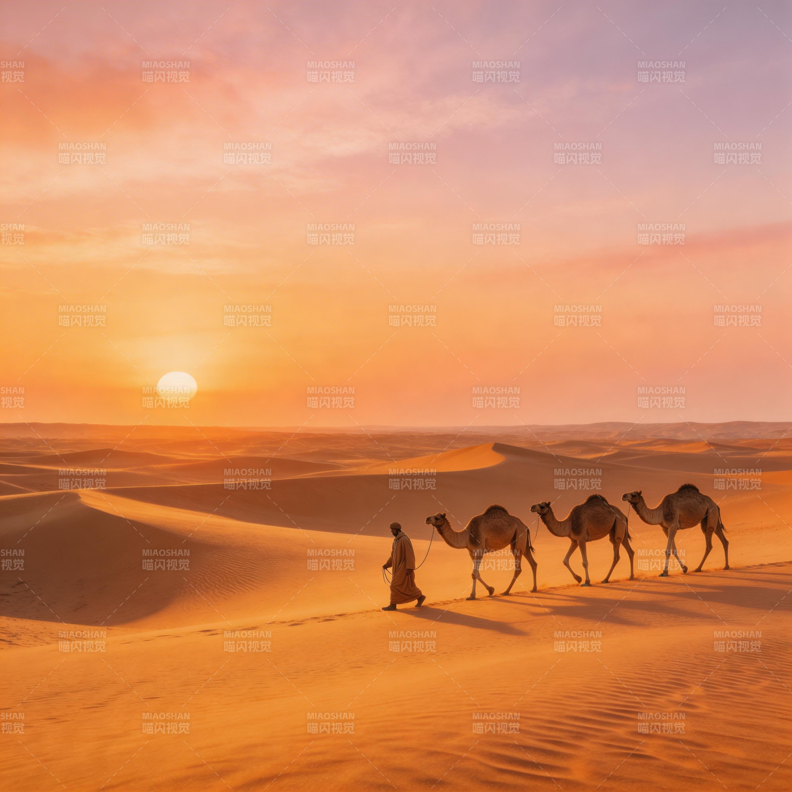 沙漠日落驼队行图片