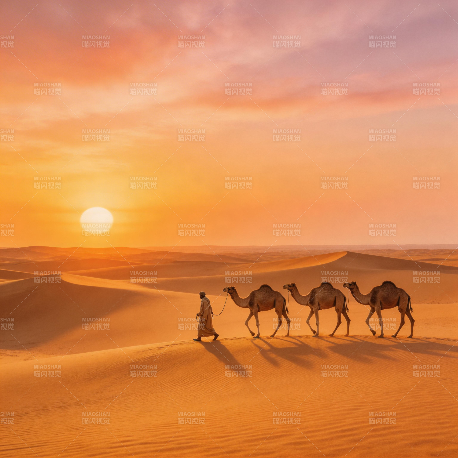 沙漠驼影夕阳下图片