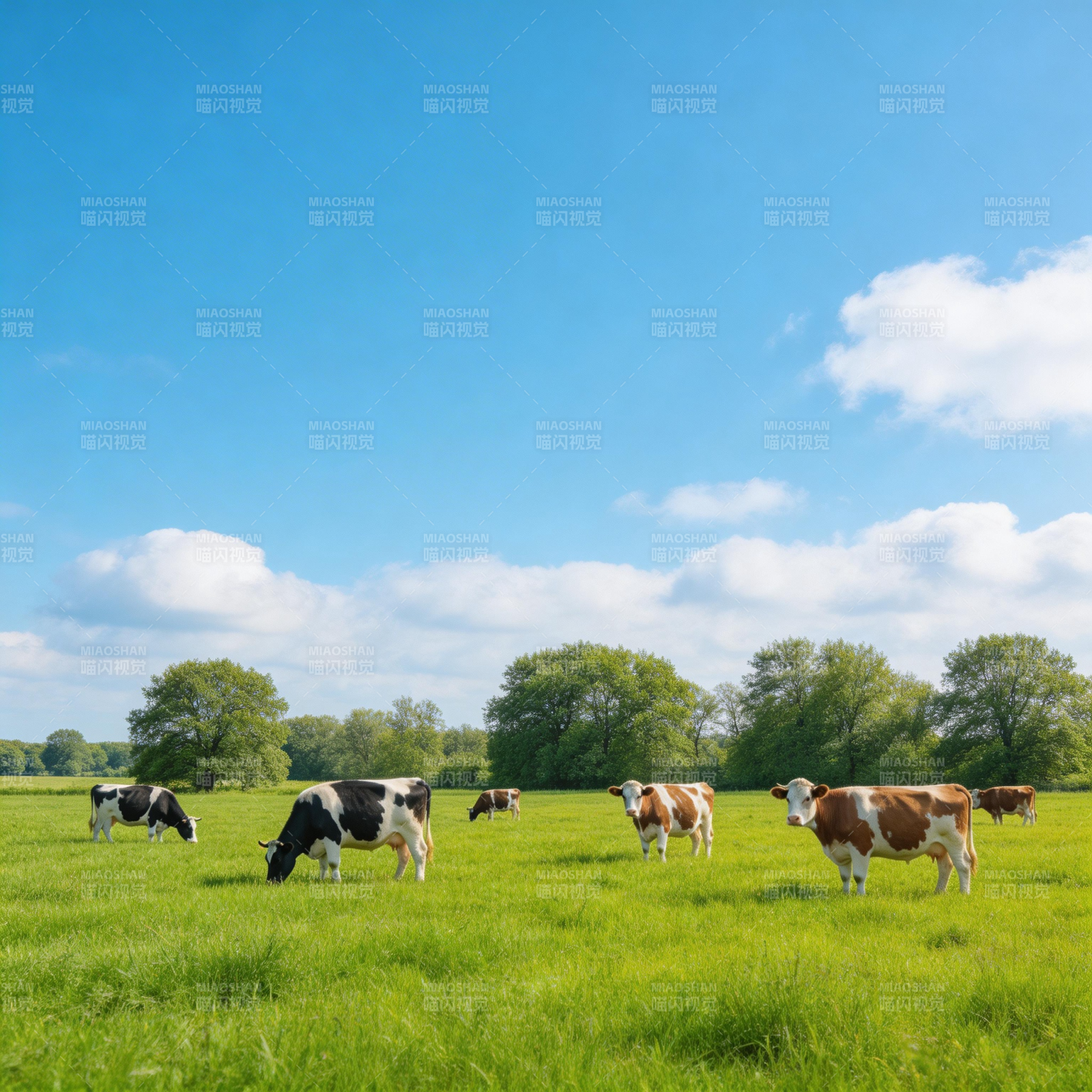 绿野牧牛图图片