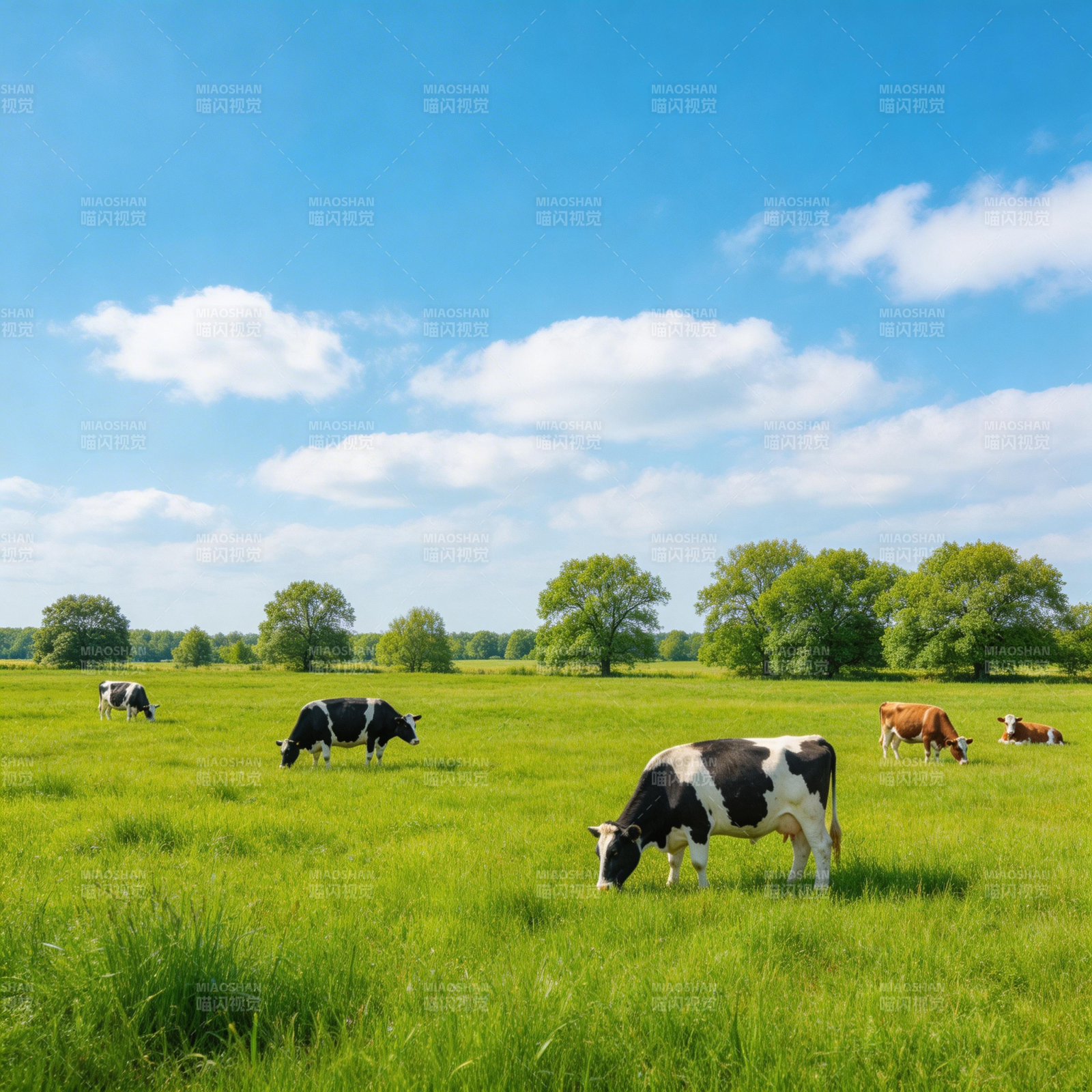 绿野牧牛图图片