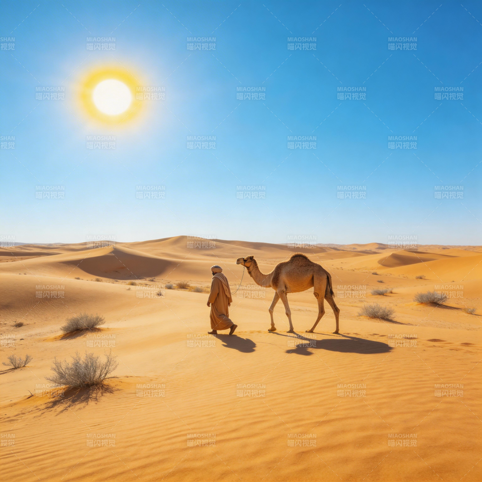 沙漠行旅图片
