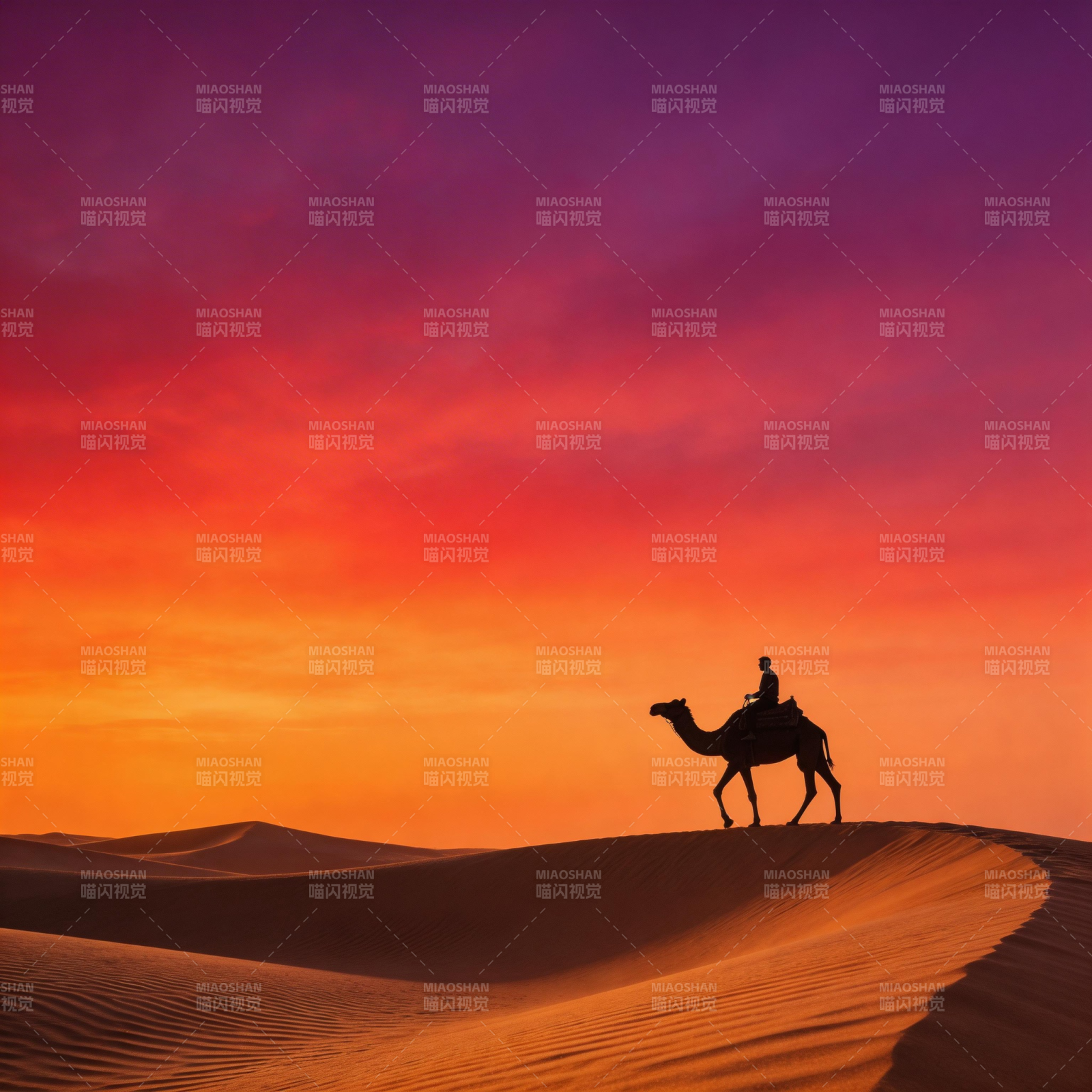 沙漠驼影夕阳下图片