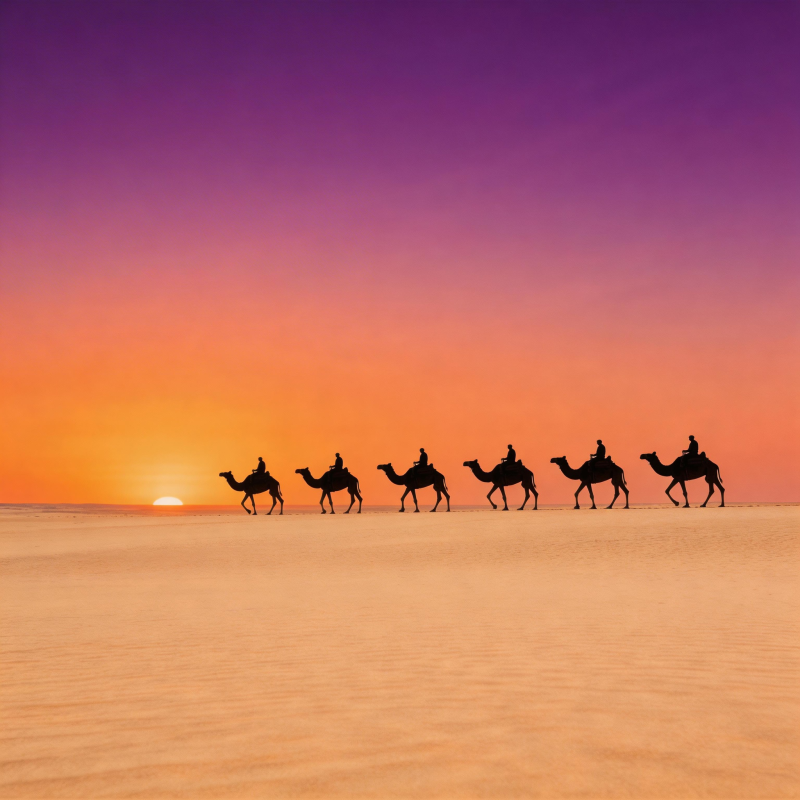 沙漠驼队日落行图片