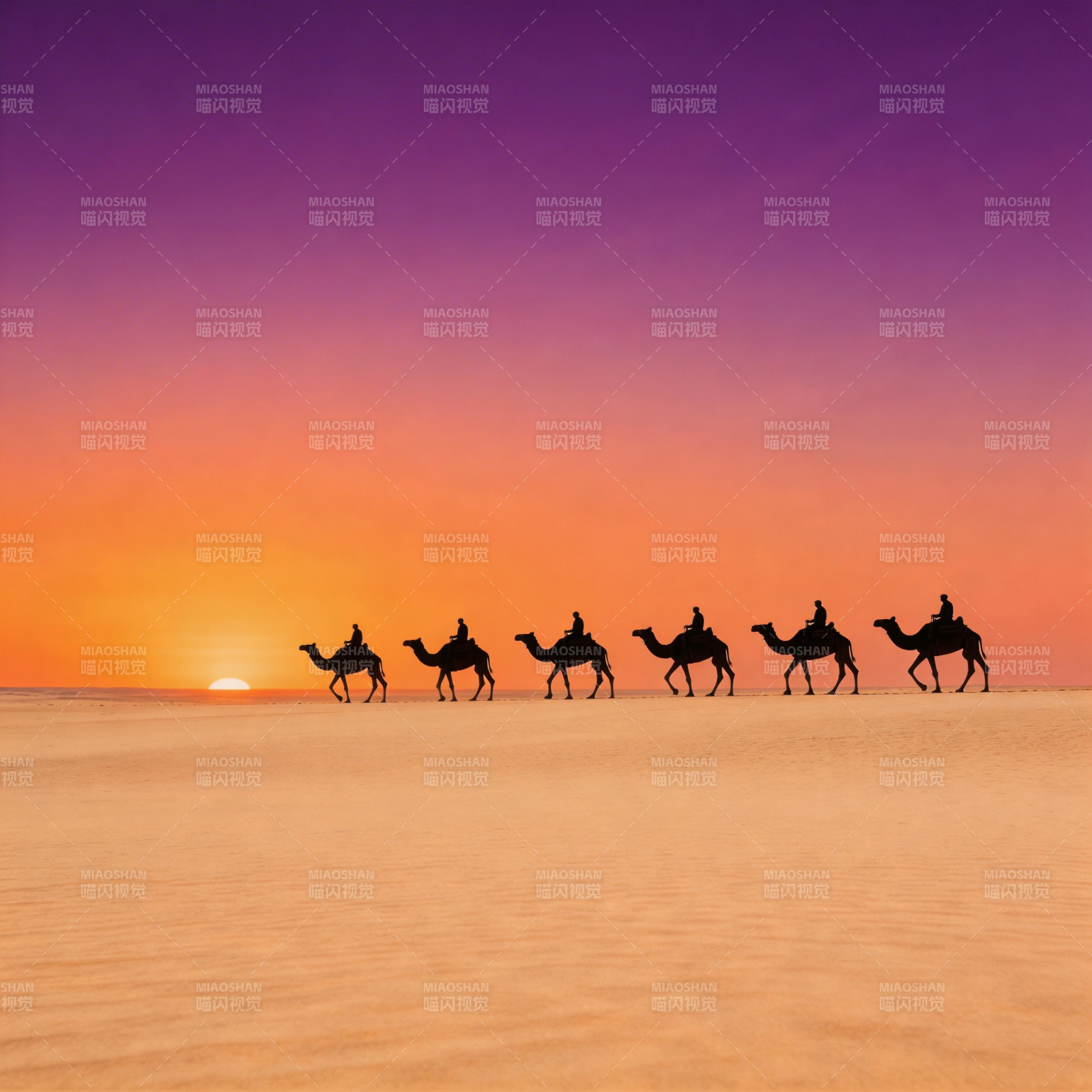 沙漠驼队日落行图片