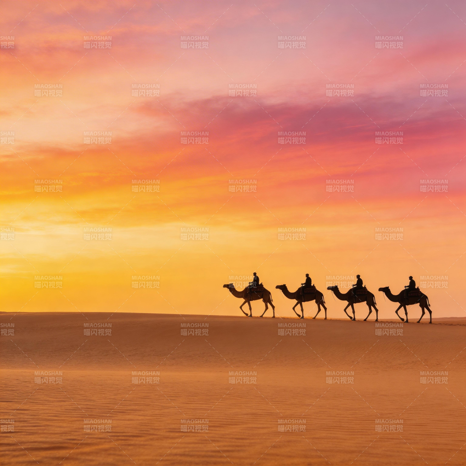 沙漠驼影夕阳下图片