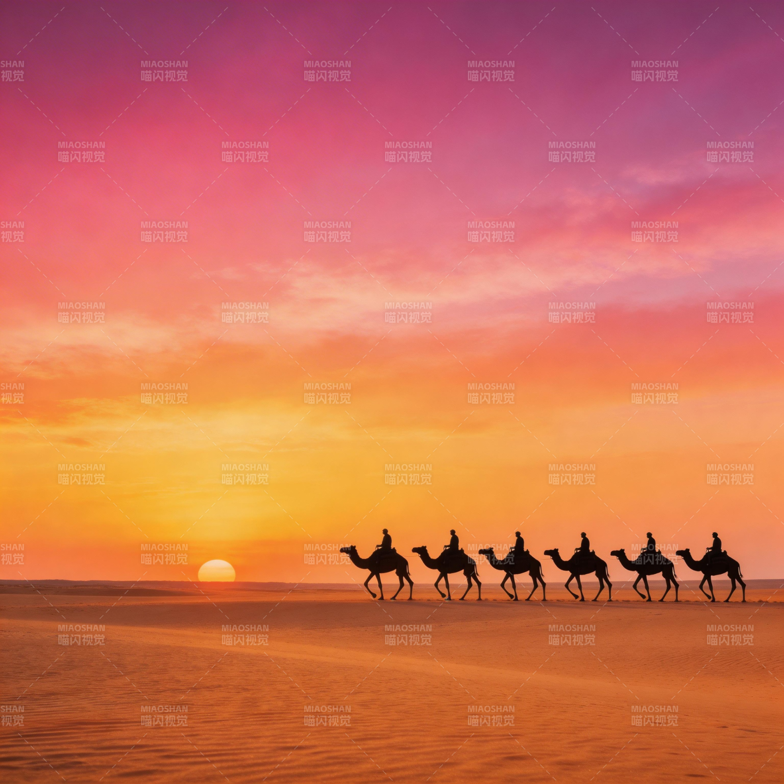 沙漠驼影日落时图片