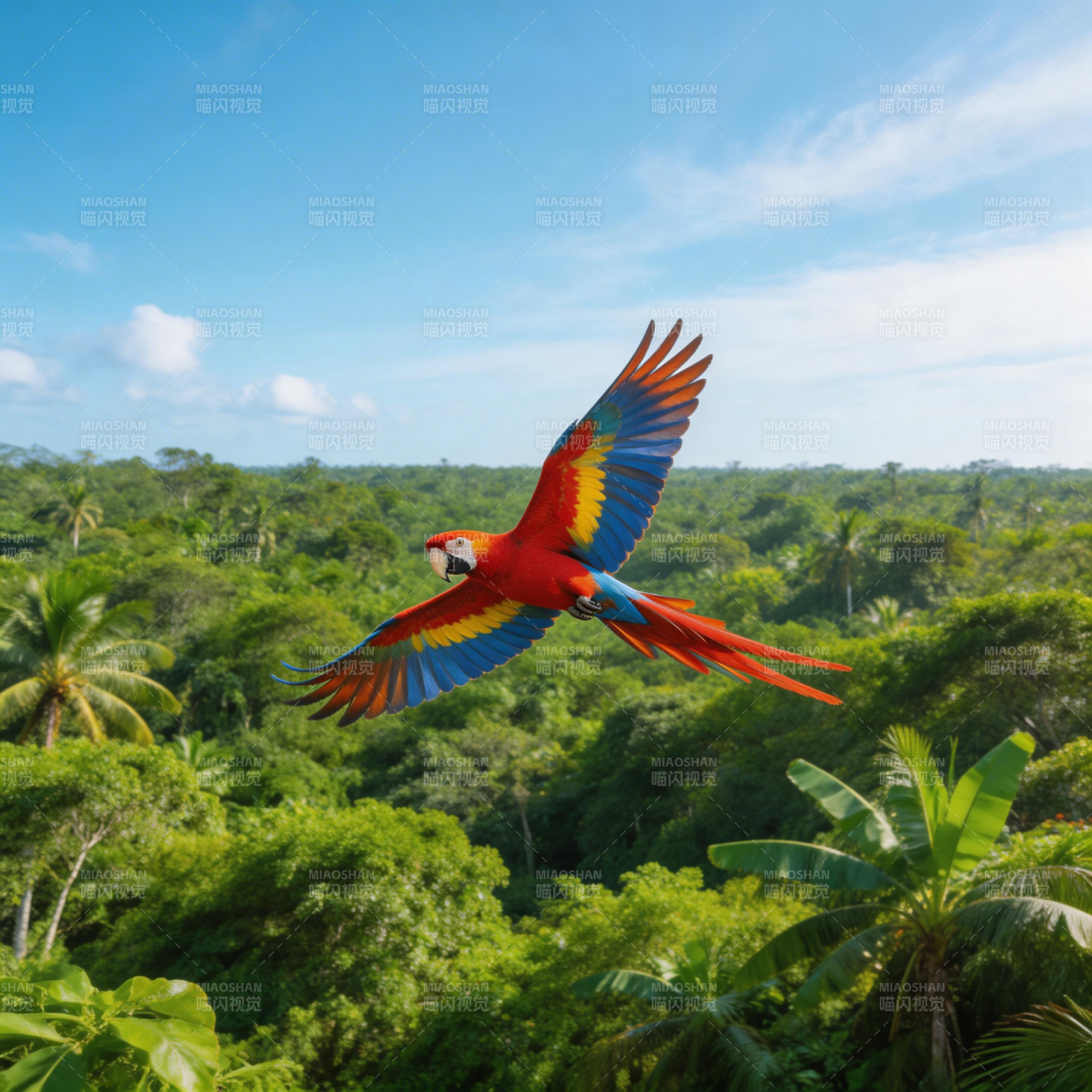 鹦鹉翱翔热带雨林图片