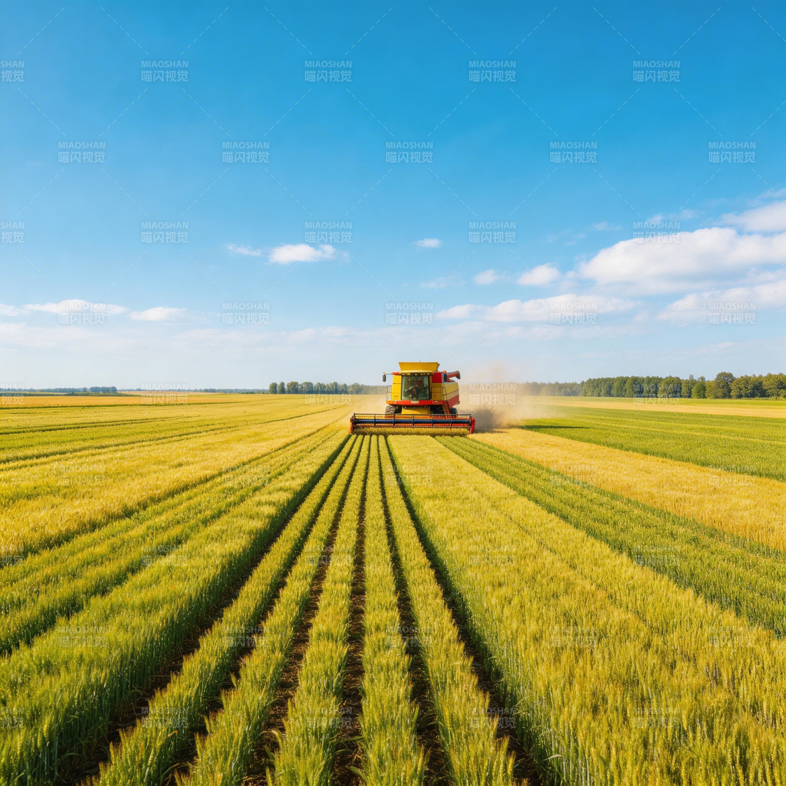 金秋收割忙图片