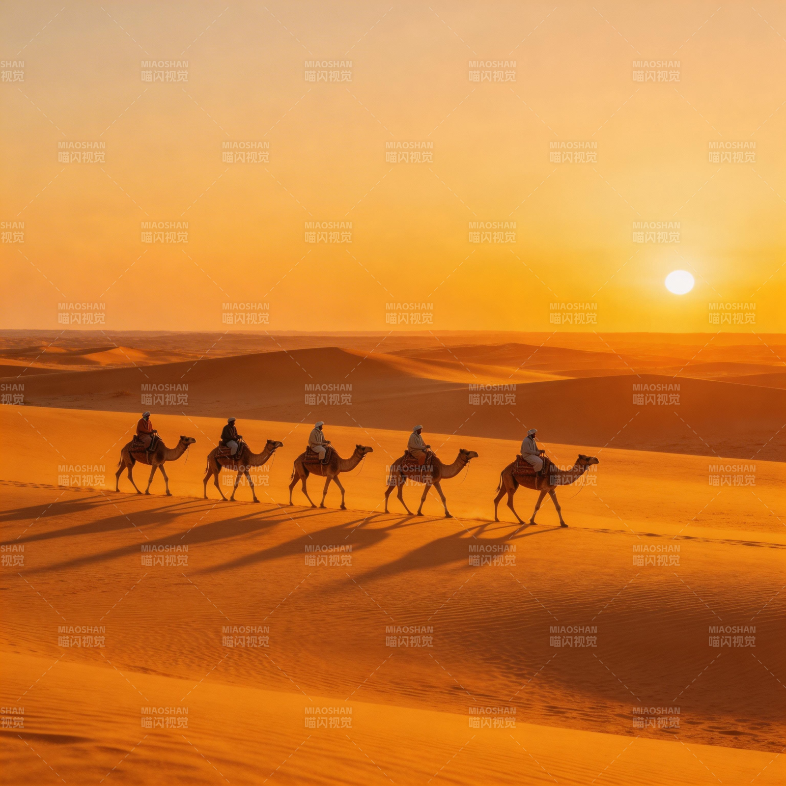 沙漠驼队日落行图片