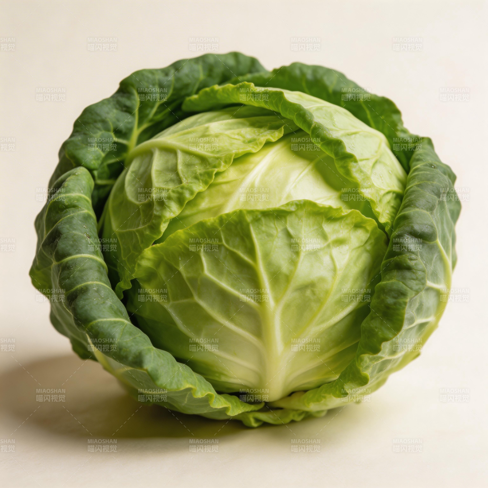 新鲜卷心菜图片