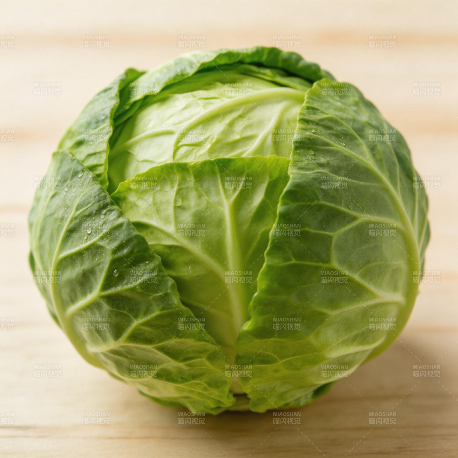 新鲜卷心菜图片