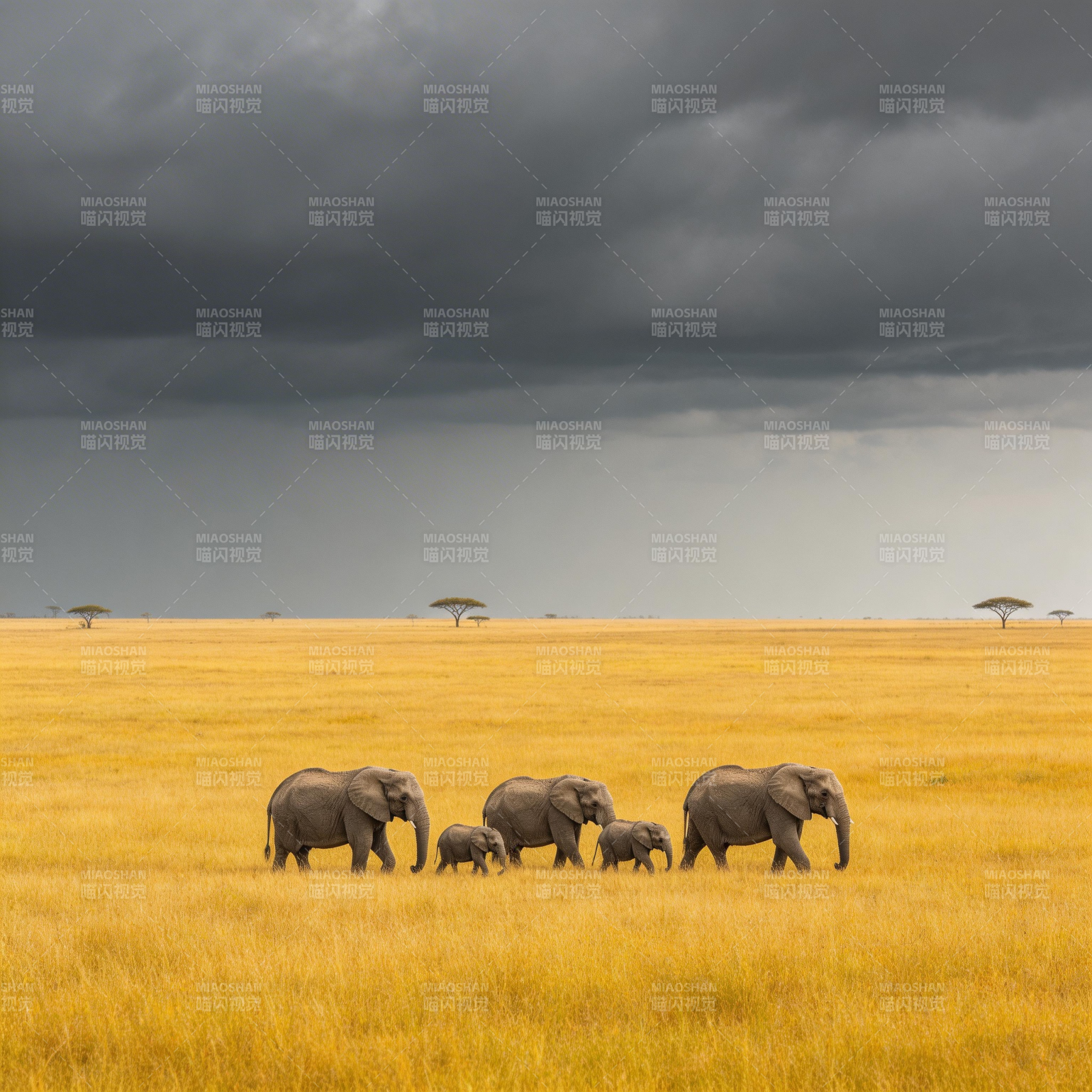 草原象群行图片