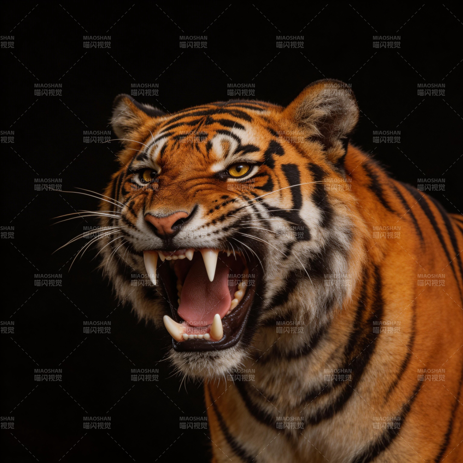 猛虎咆哮图片