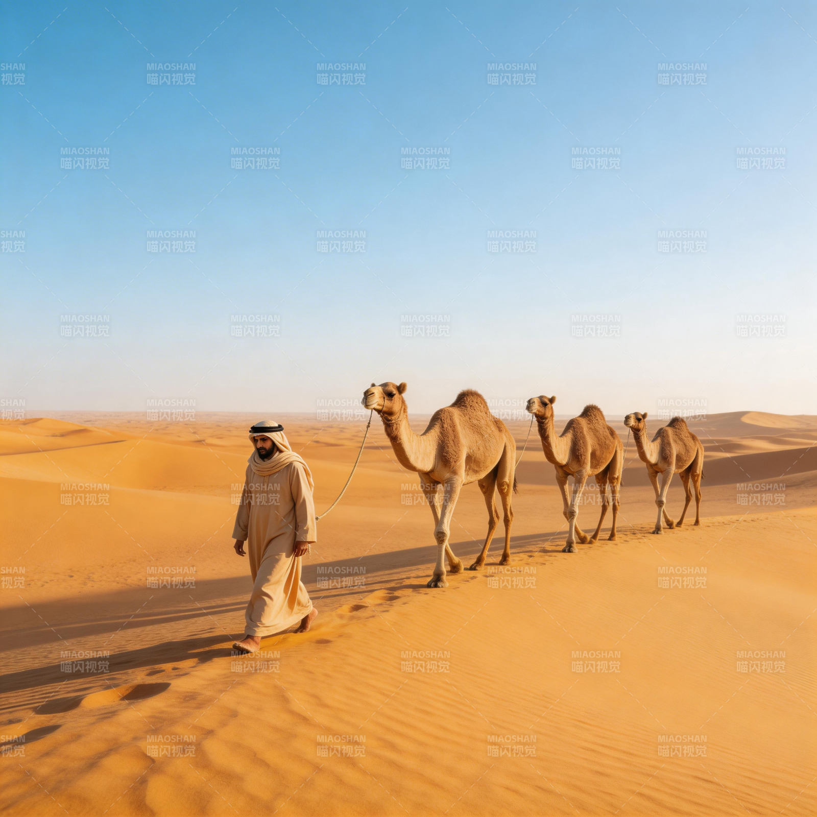 沙漠驼队行图片