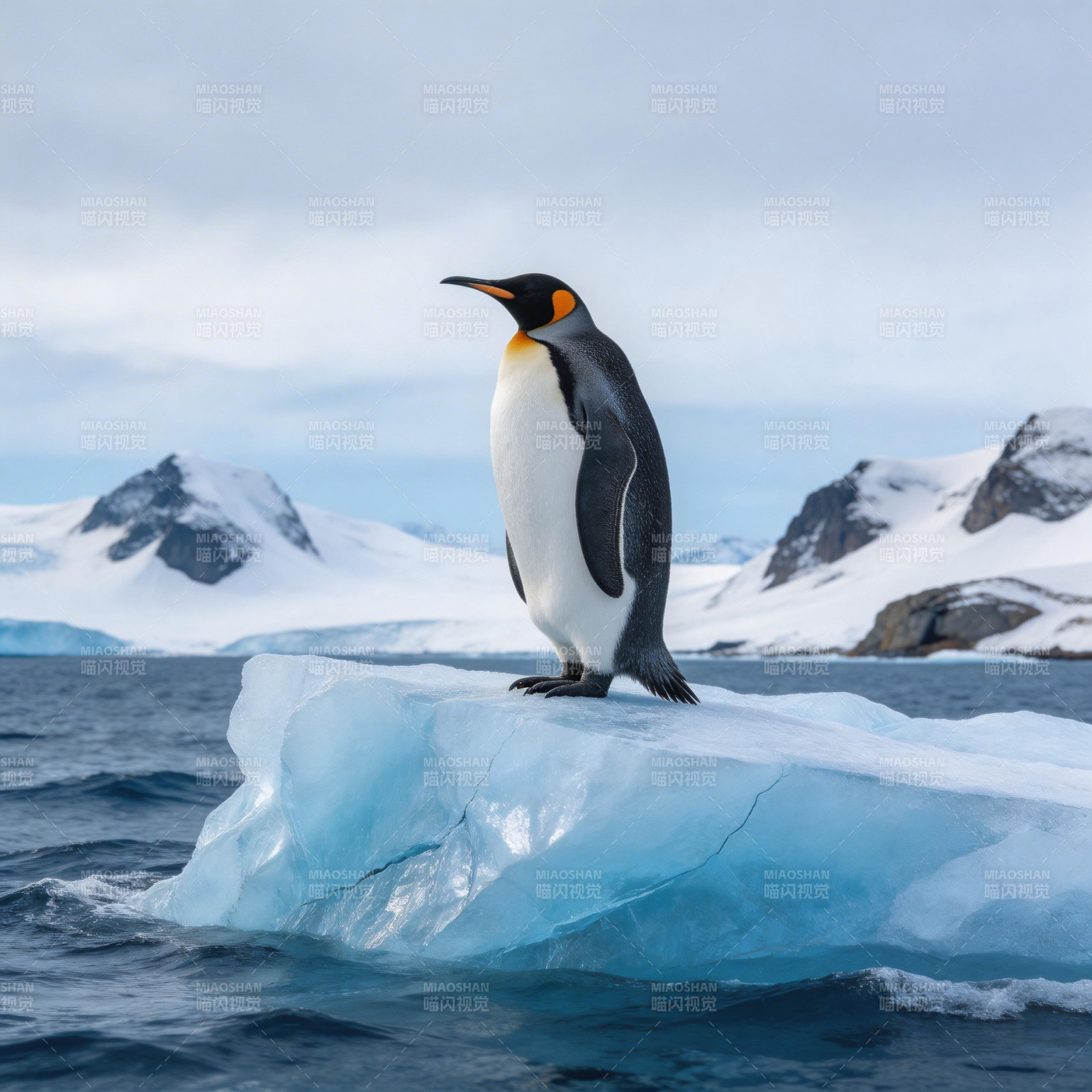 企鹅立冰 远山如画图片