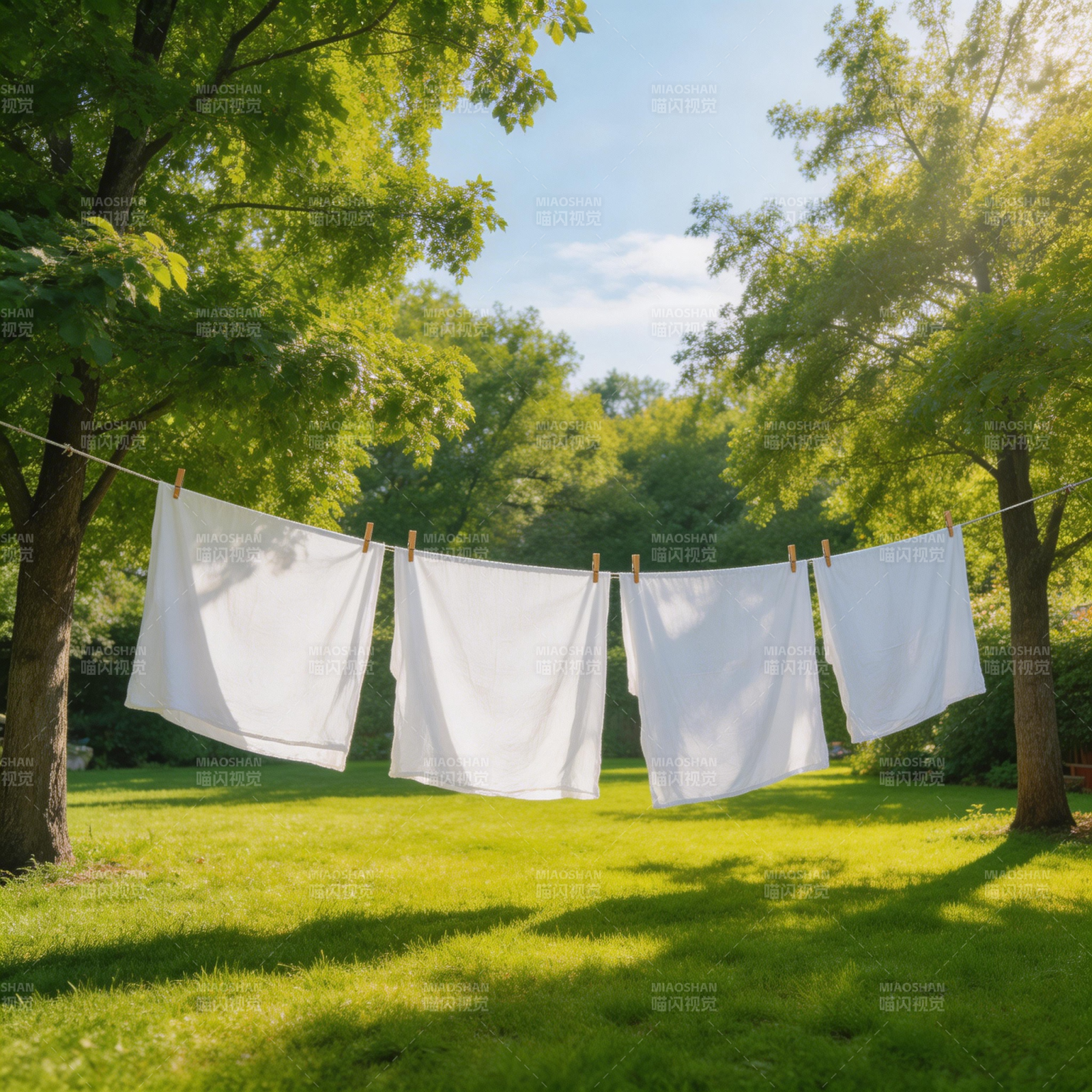 阳光下的白色衣物图片