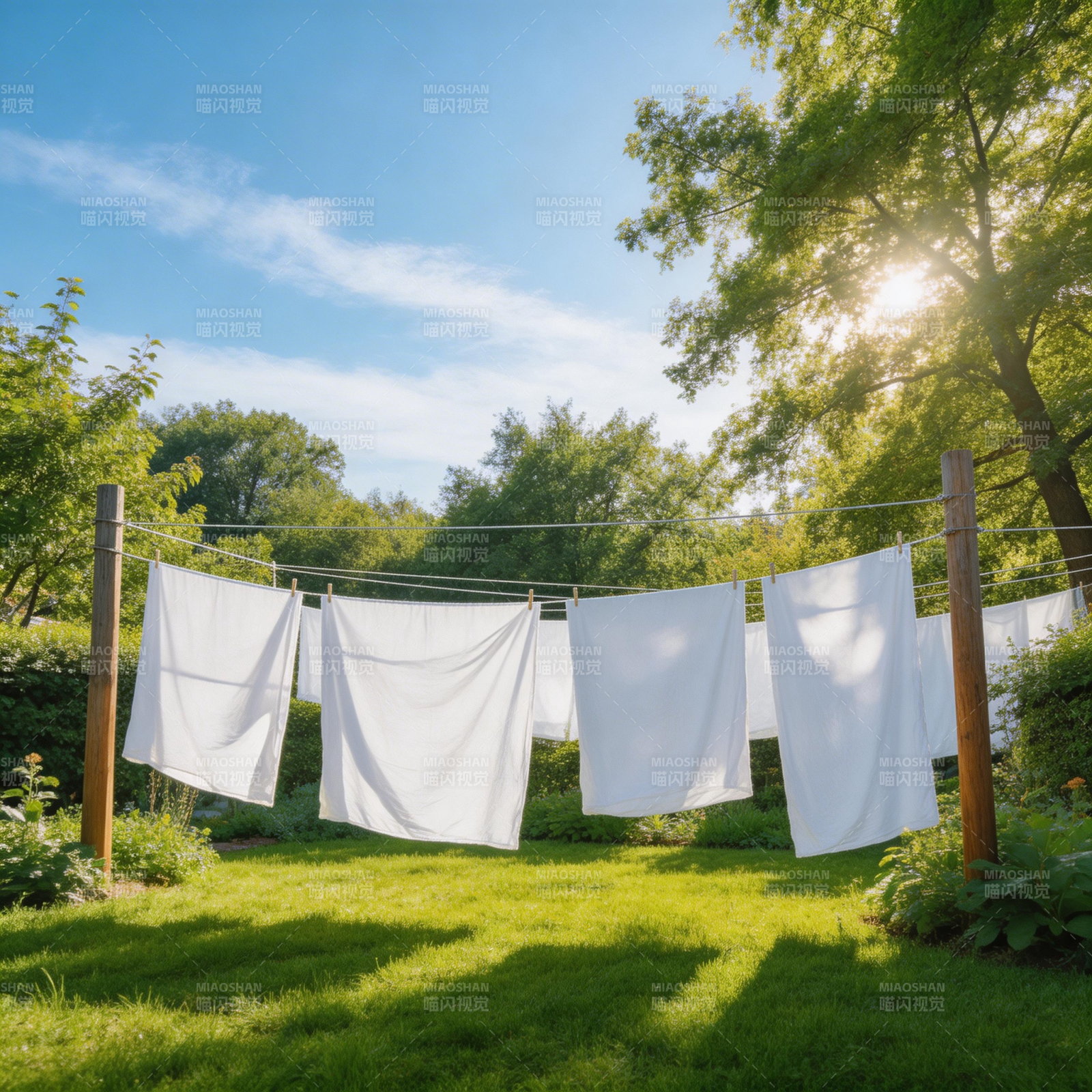 阳光下的白色衣物图片