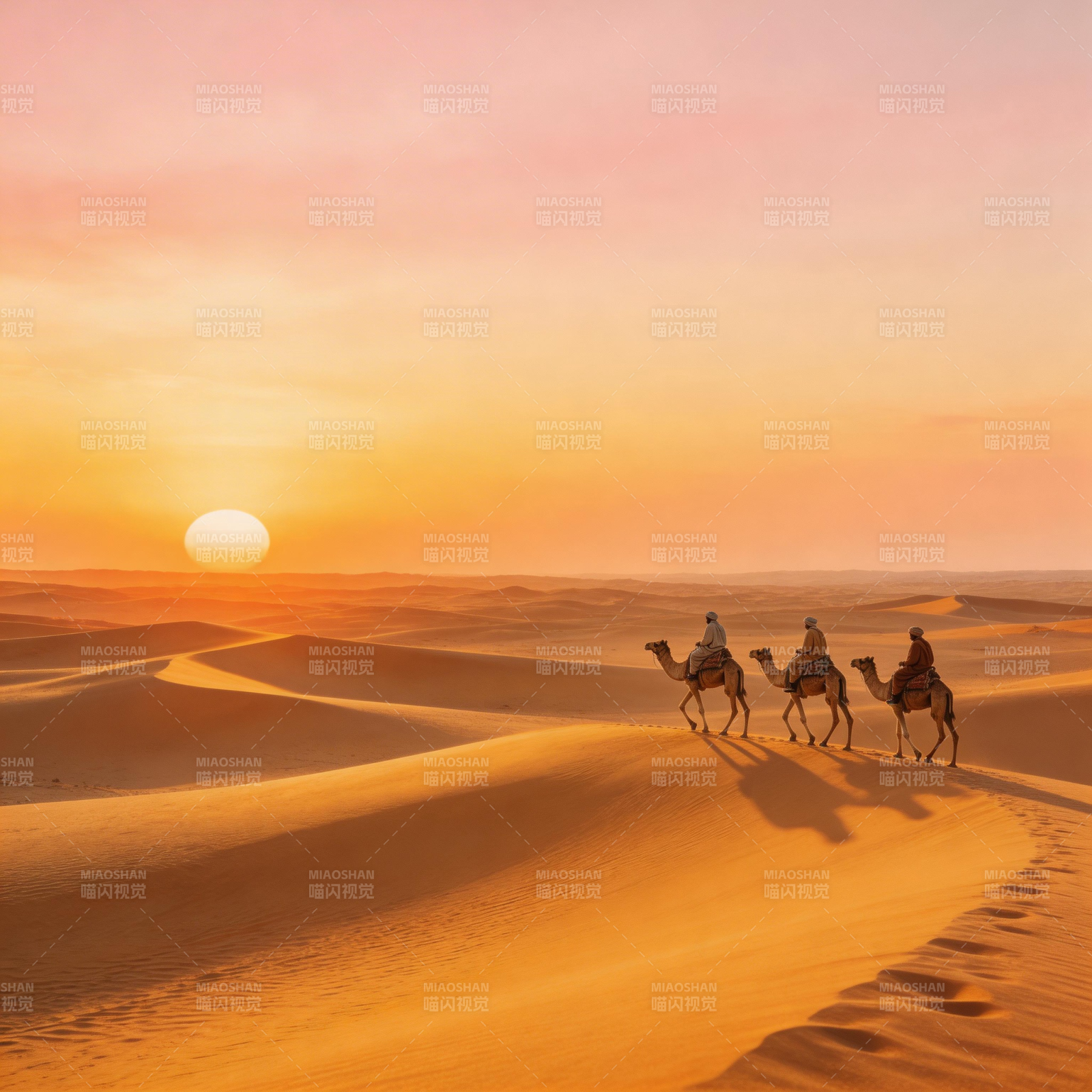 沙漠驼影夕阳下图片