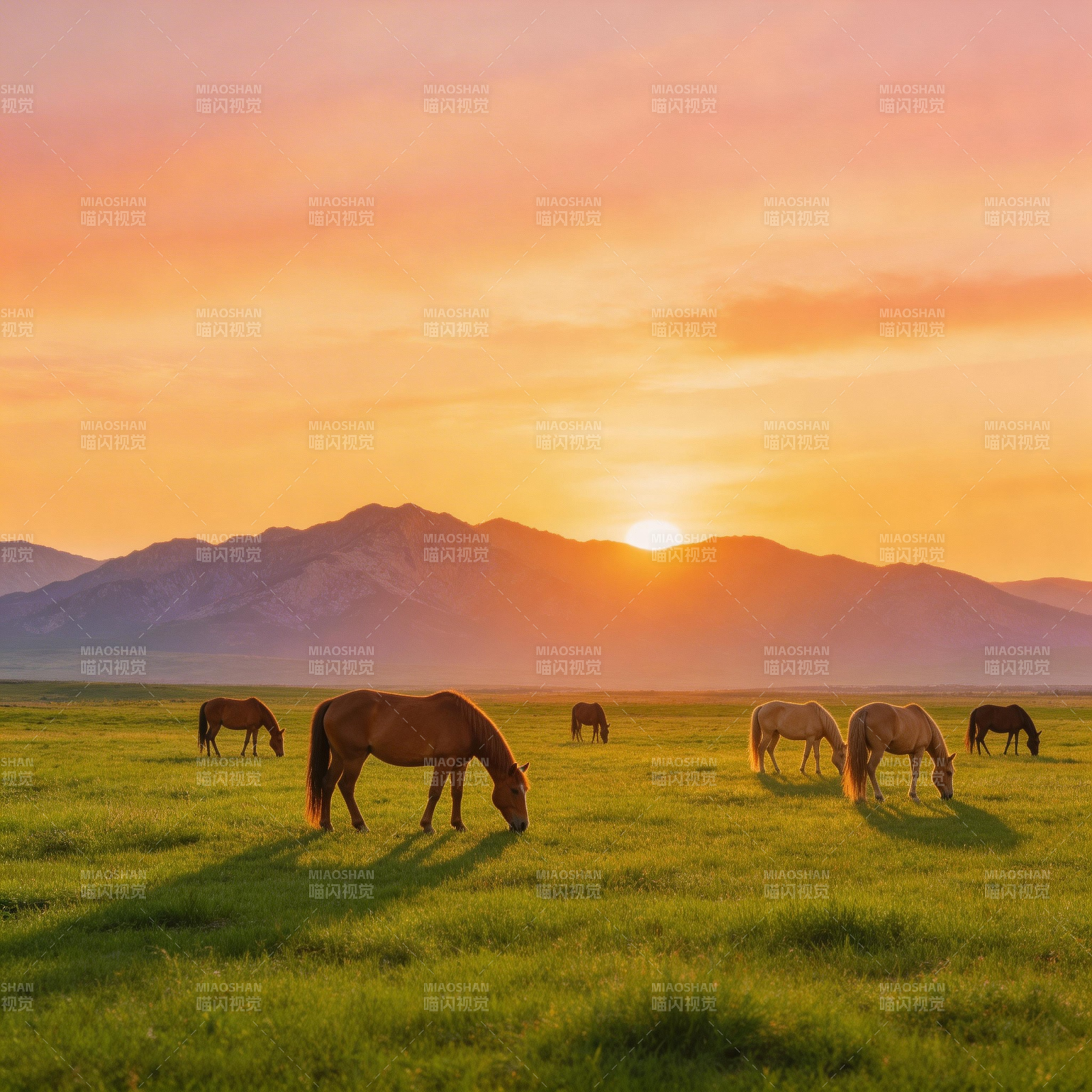 草原日落马群图片