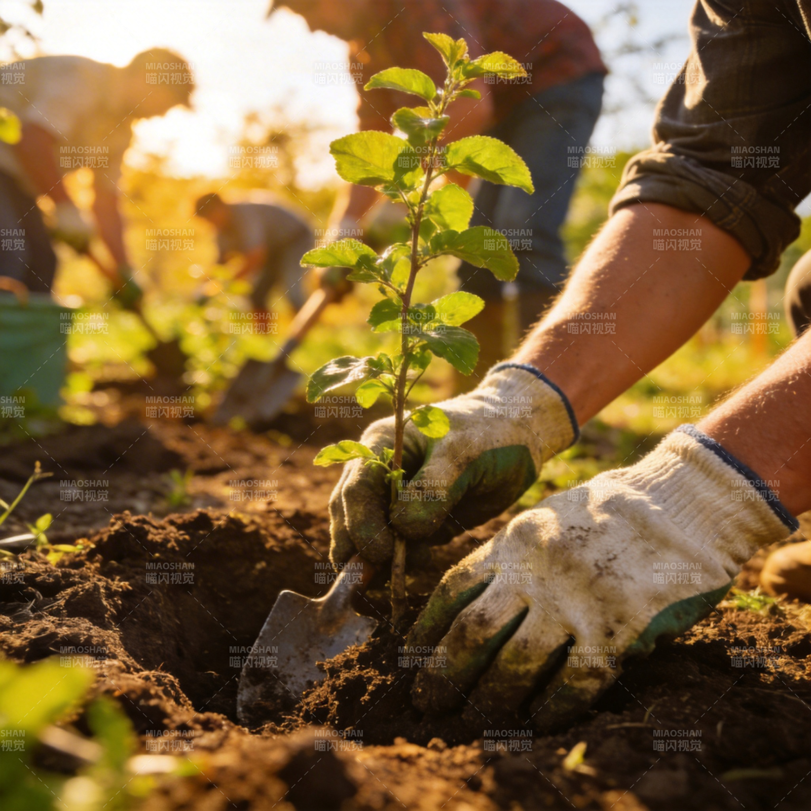 植树造林 绿意盎然图片