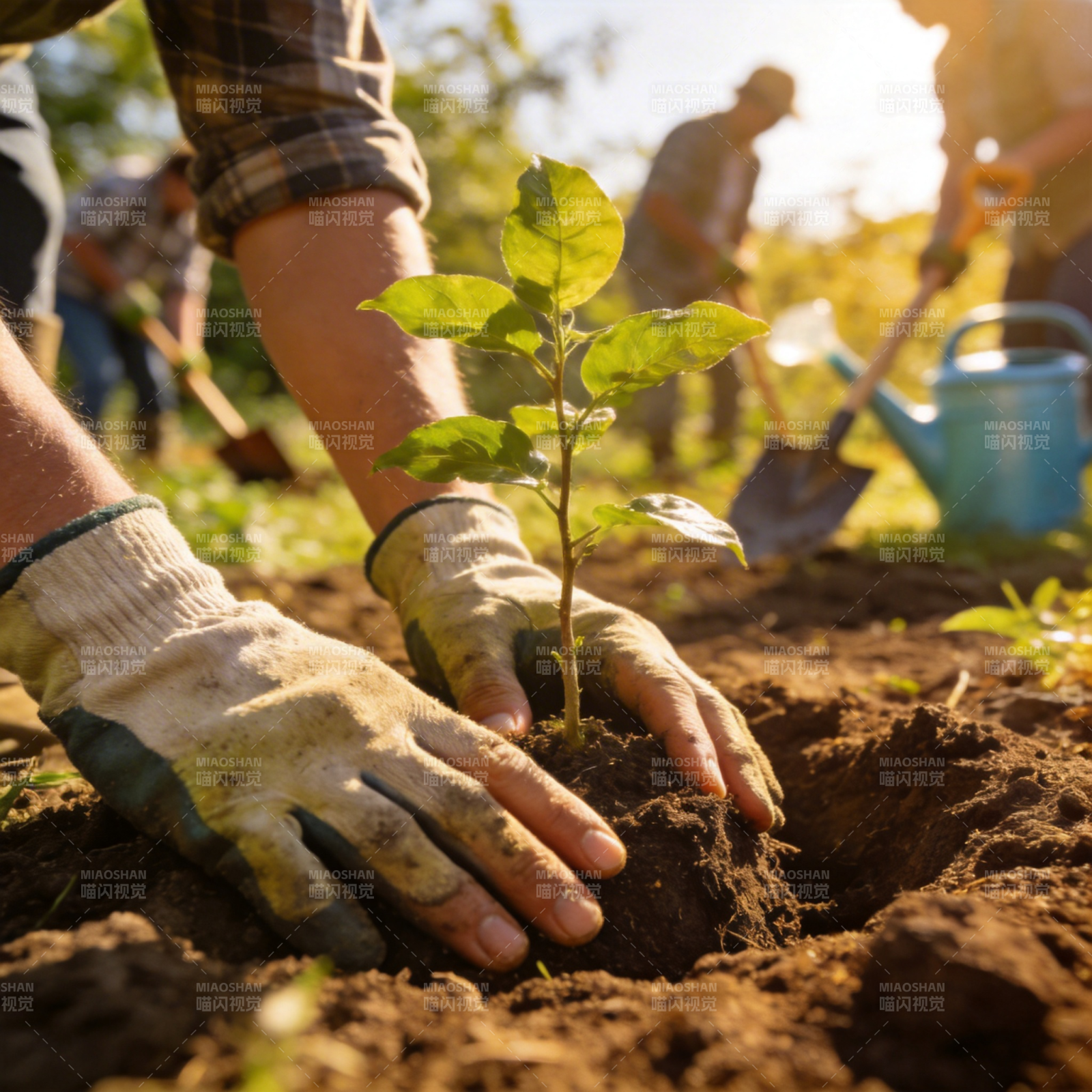 植树造林 守护绿色图片