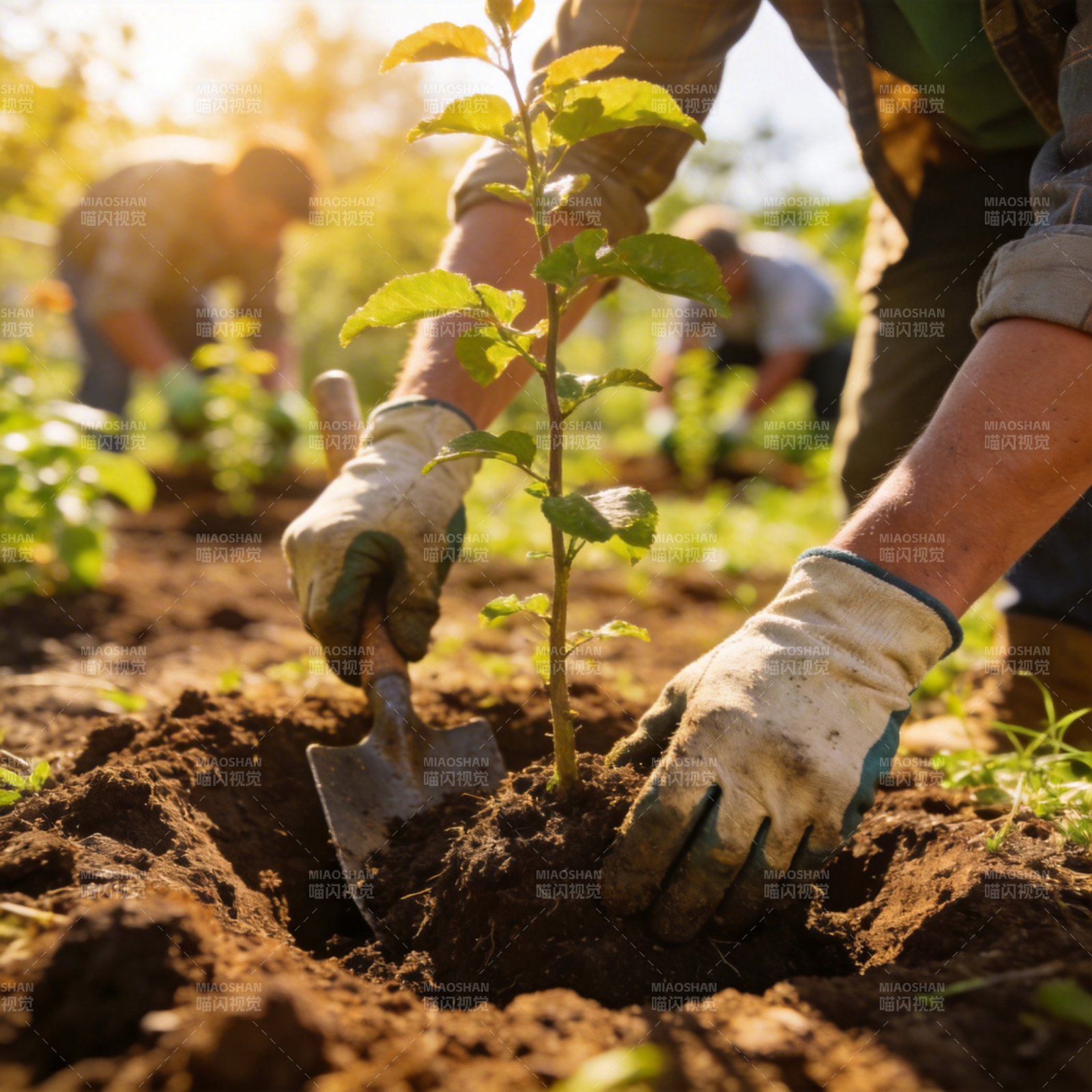 植树造林 守护绿色图片