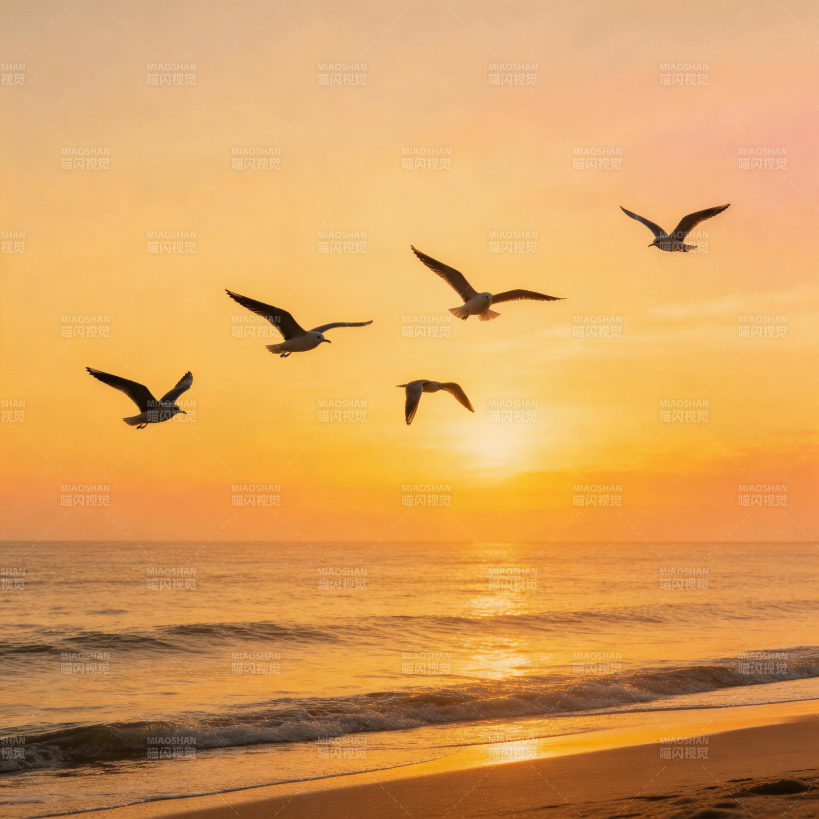 夕阳海鸥飞翔图片