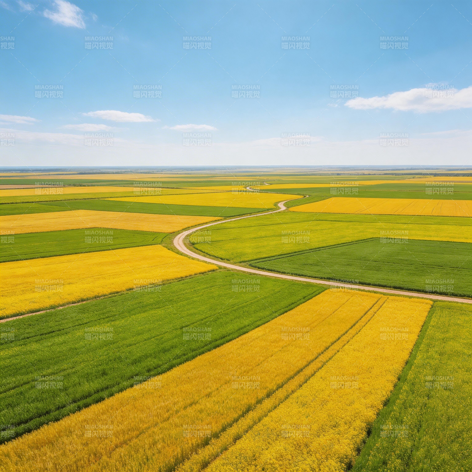 田野风光 金绿交织图片