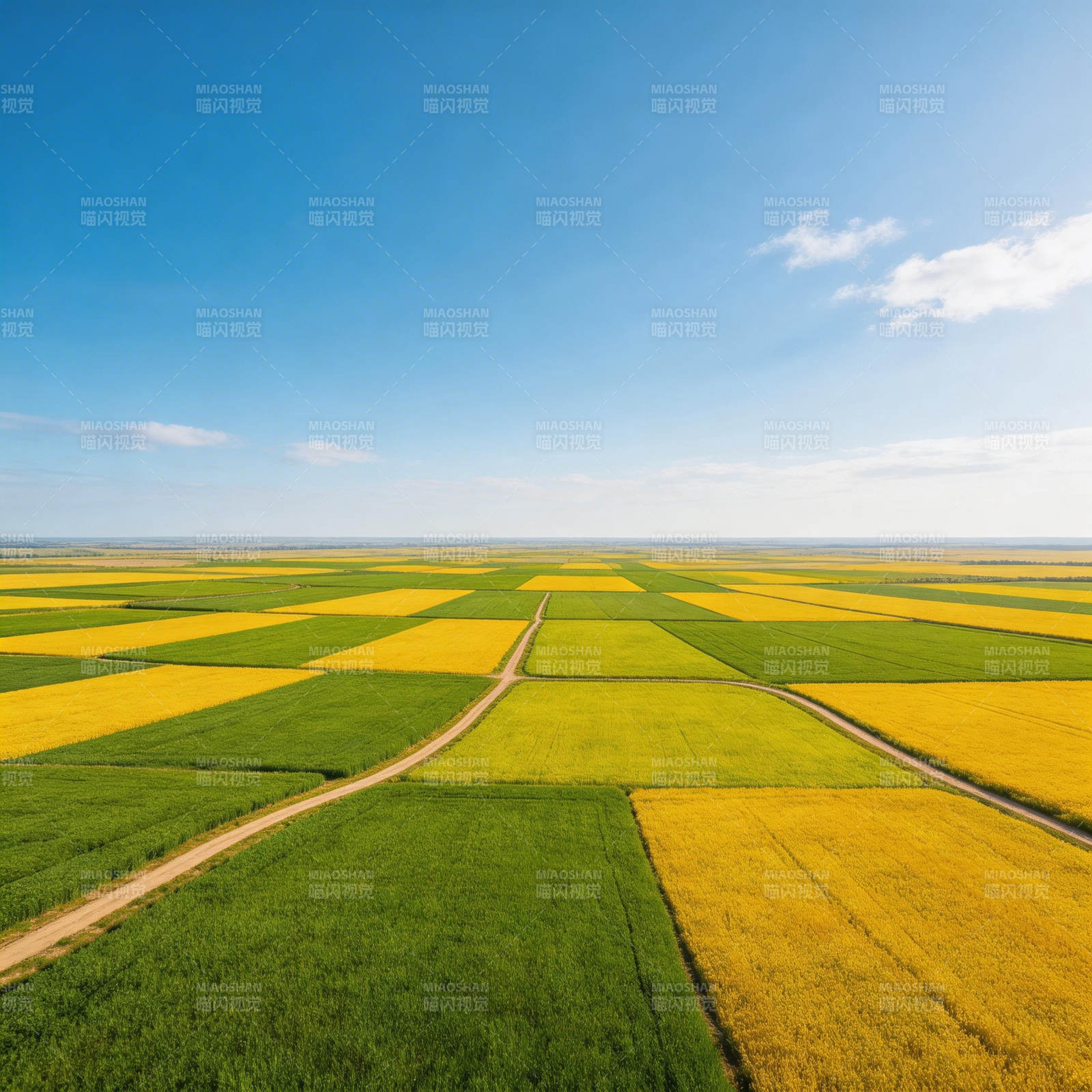 金黄绿野纵横交错图片