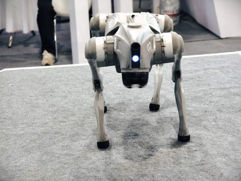 四足机器人展示图片