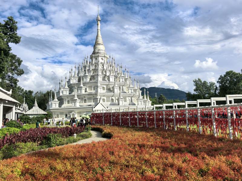 白塔花海美景图片