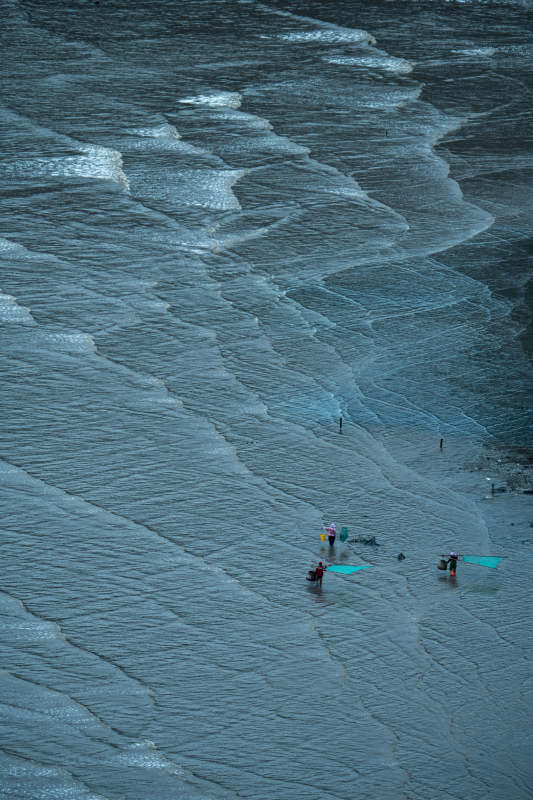 潮汐滩涂人影稀图片