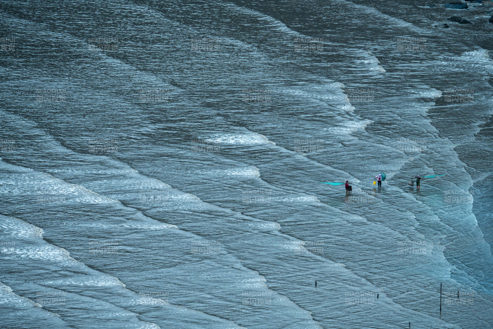 冲浪者逐浪而行图片