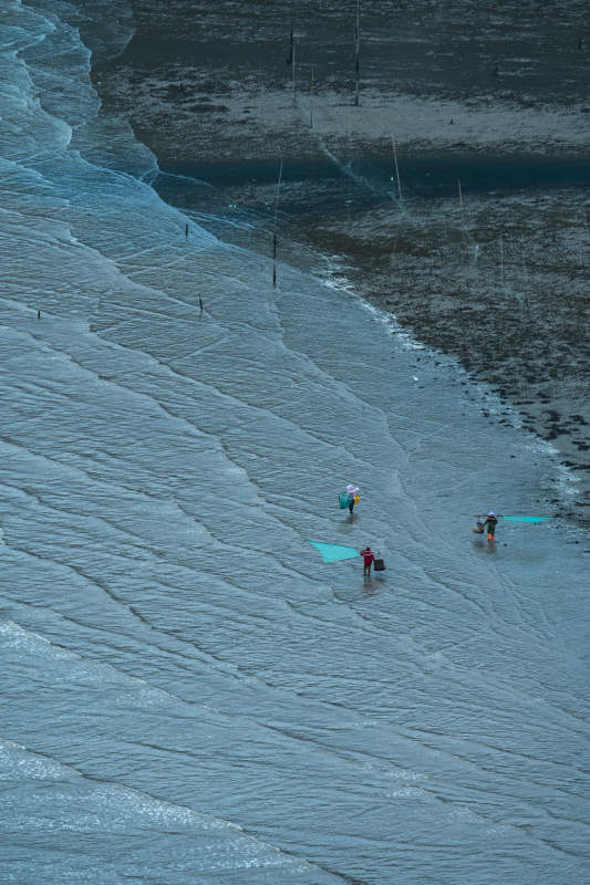 冰原上的行走者图片