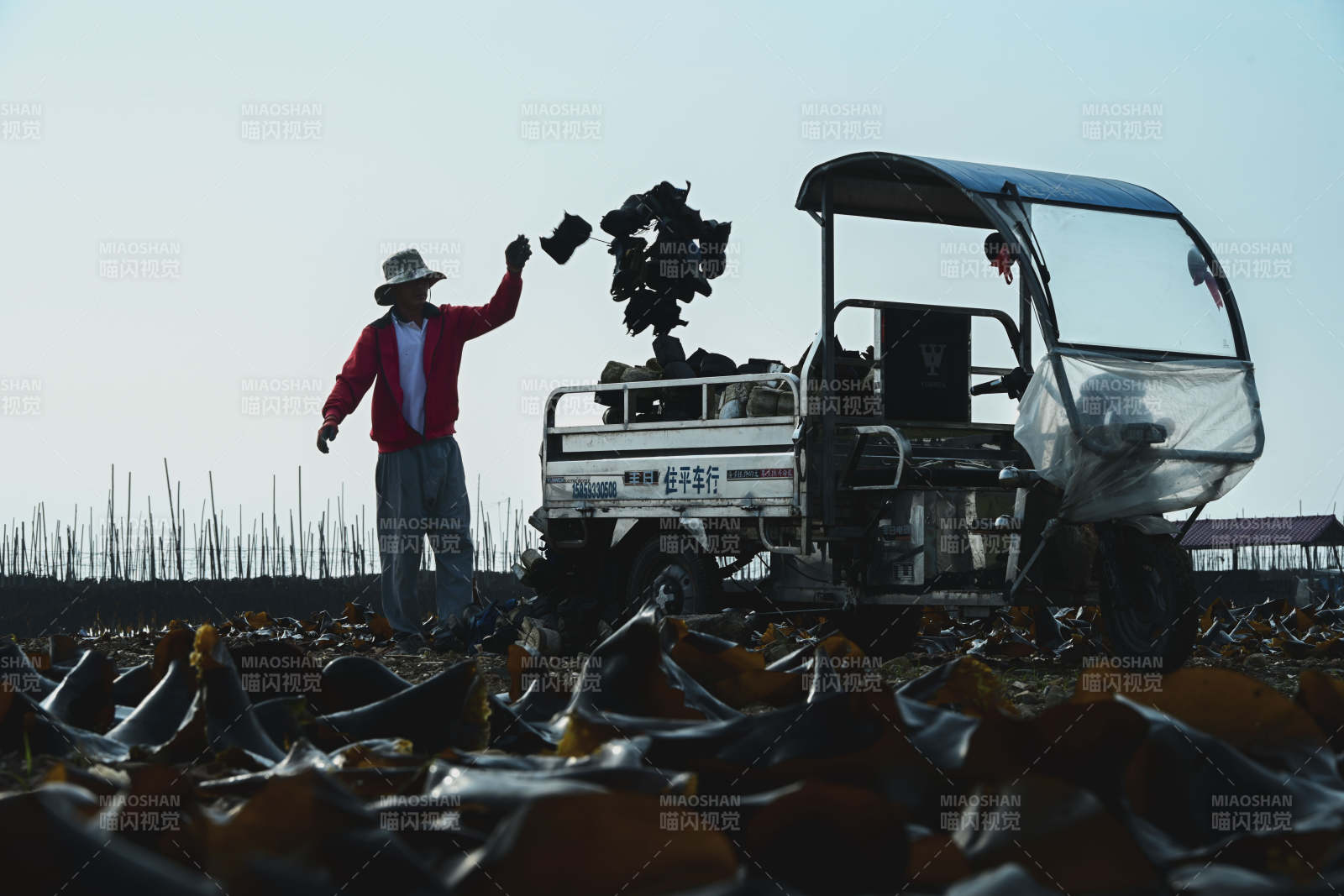 田间劳作剪影图片