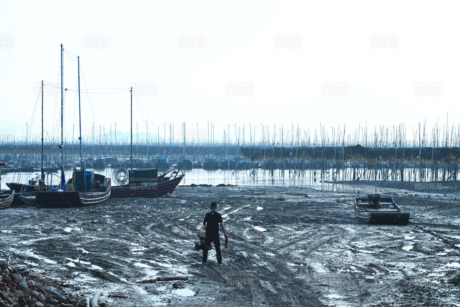 渔港晨景图片
